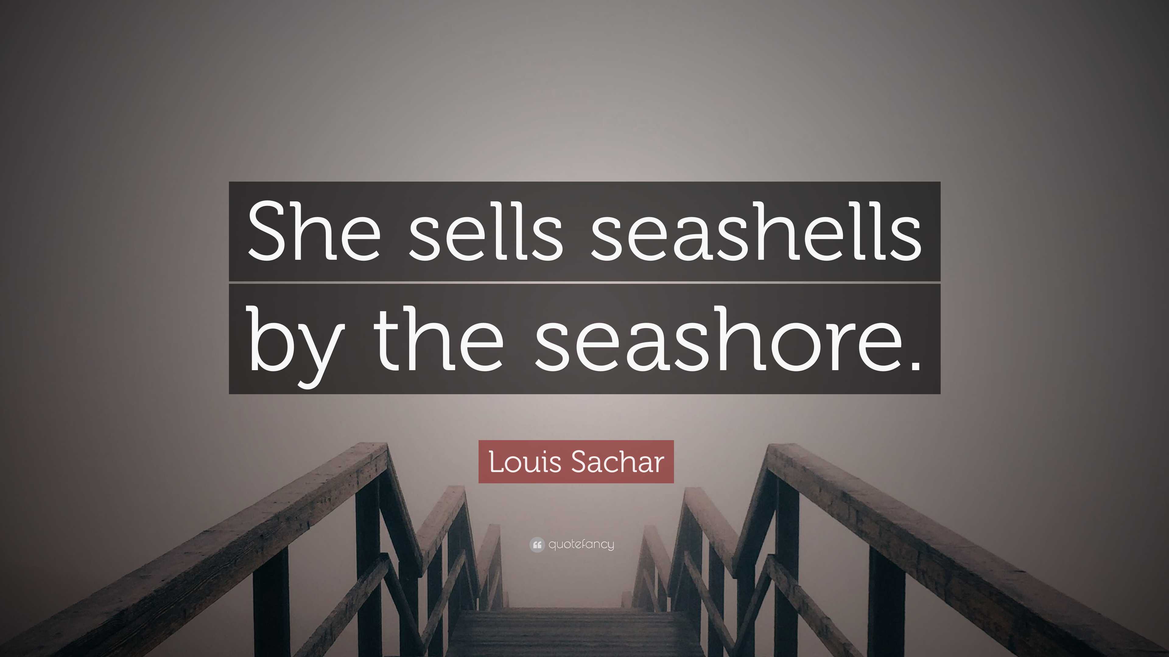 Sell seashells, even on the seashore, and surely breach the law - ABC listen