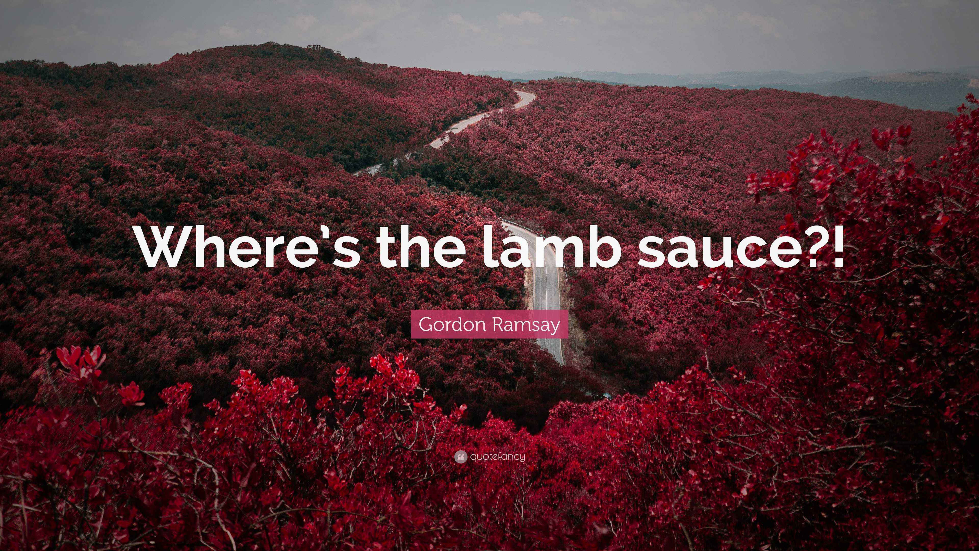 Gordon Ramsay Quote “Where’s the lamb sauce?!”