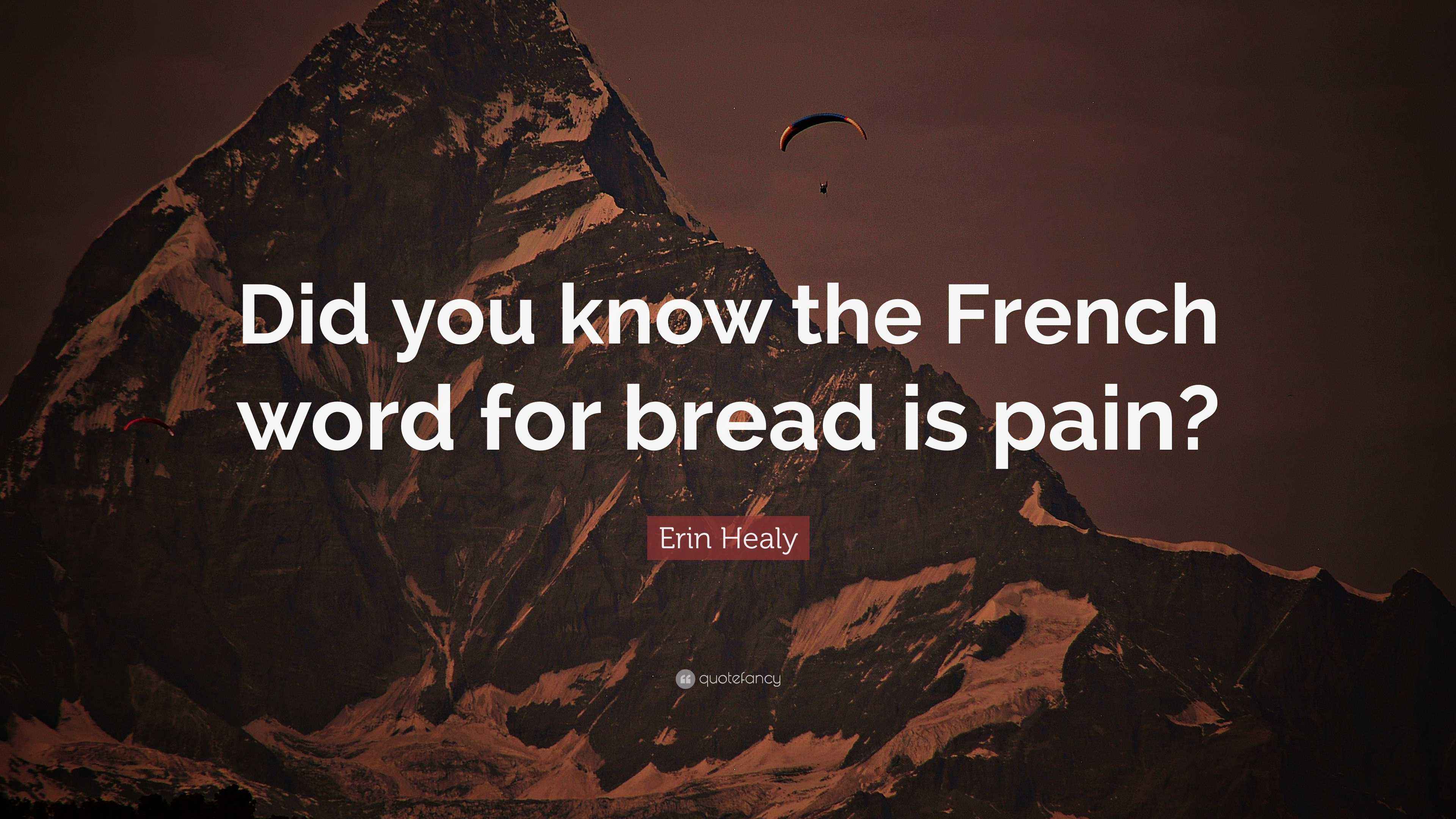 Erin Healy Quote “Did you know the French word for bread is pain?”