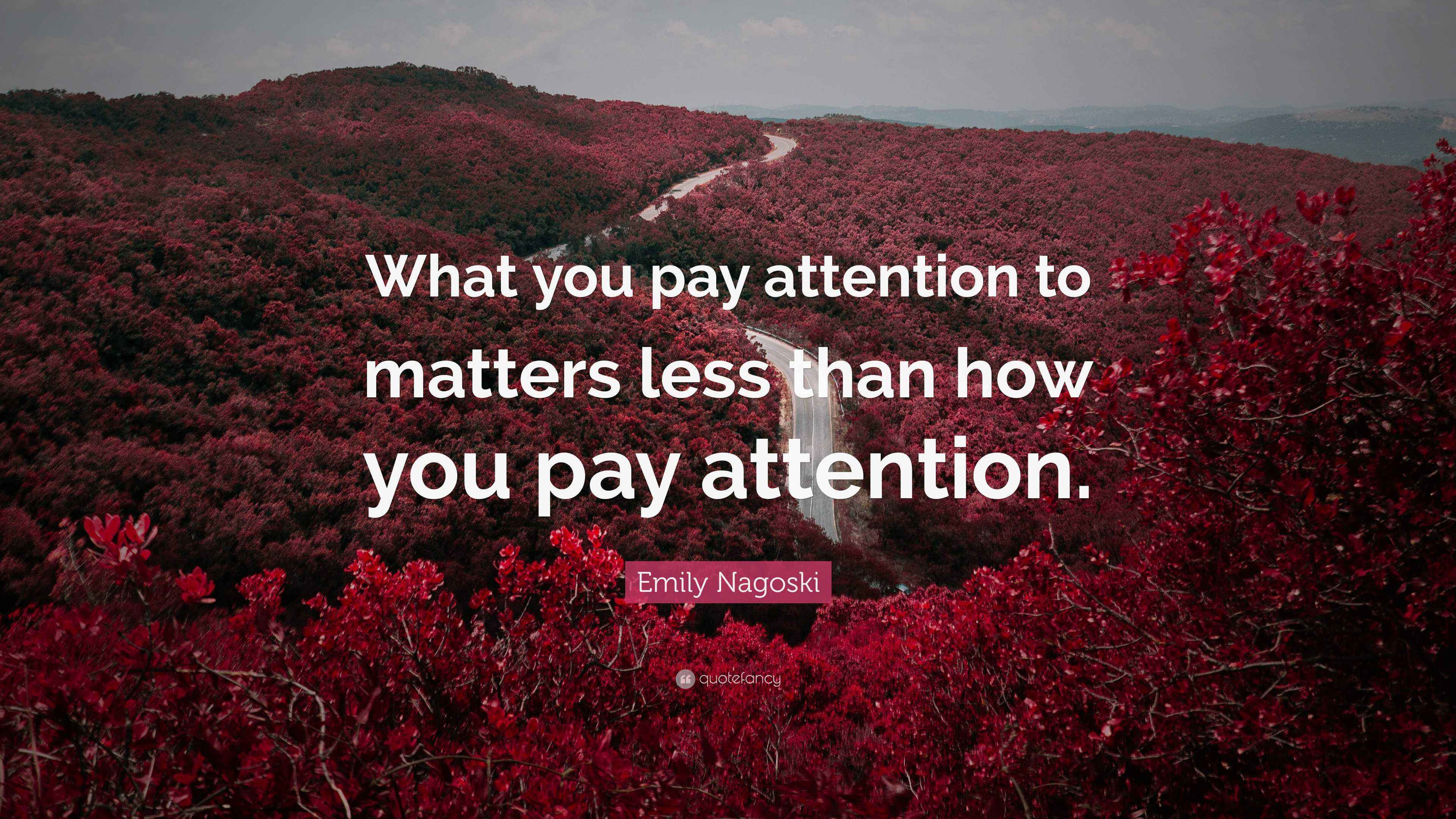 Attention Matters Quotes