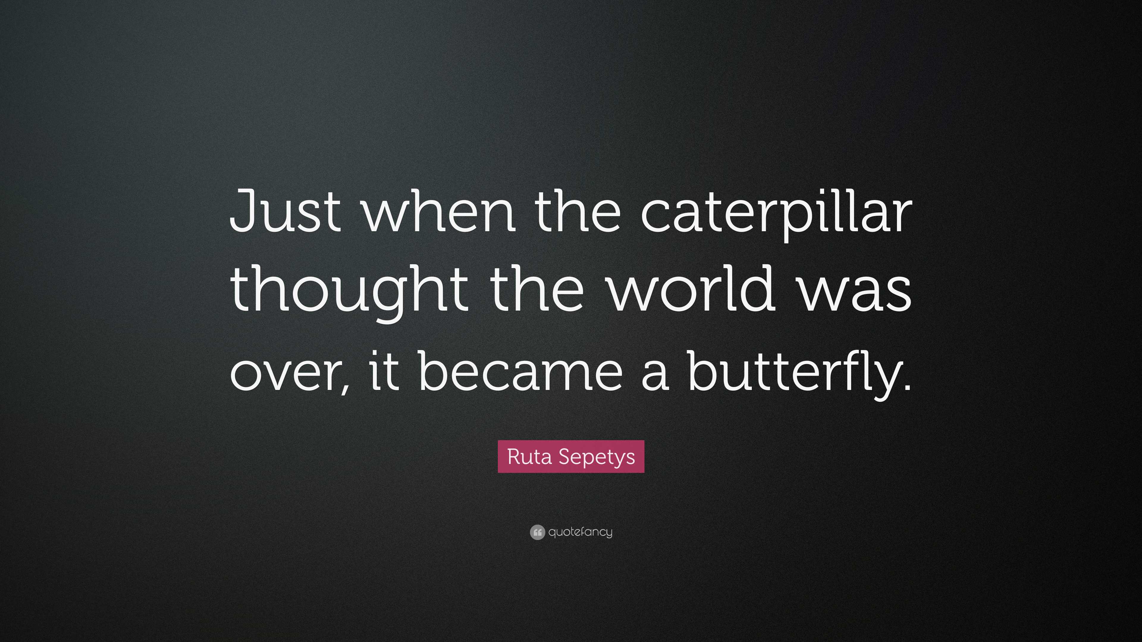 Ruta Sepetys Quote: “Just when the caterpillar thought the world was ...