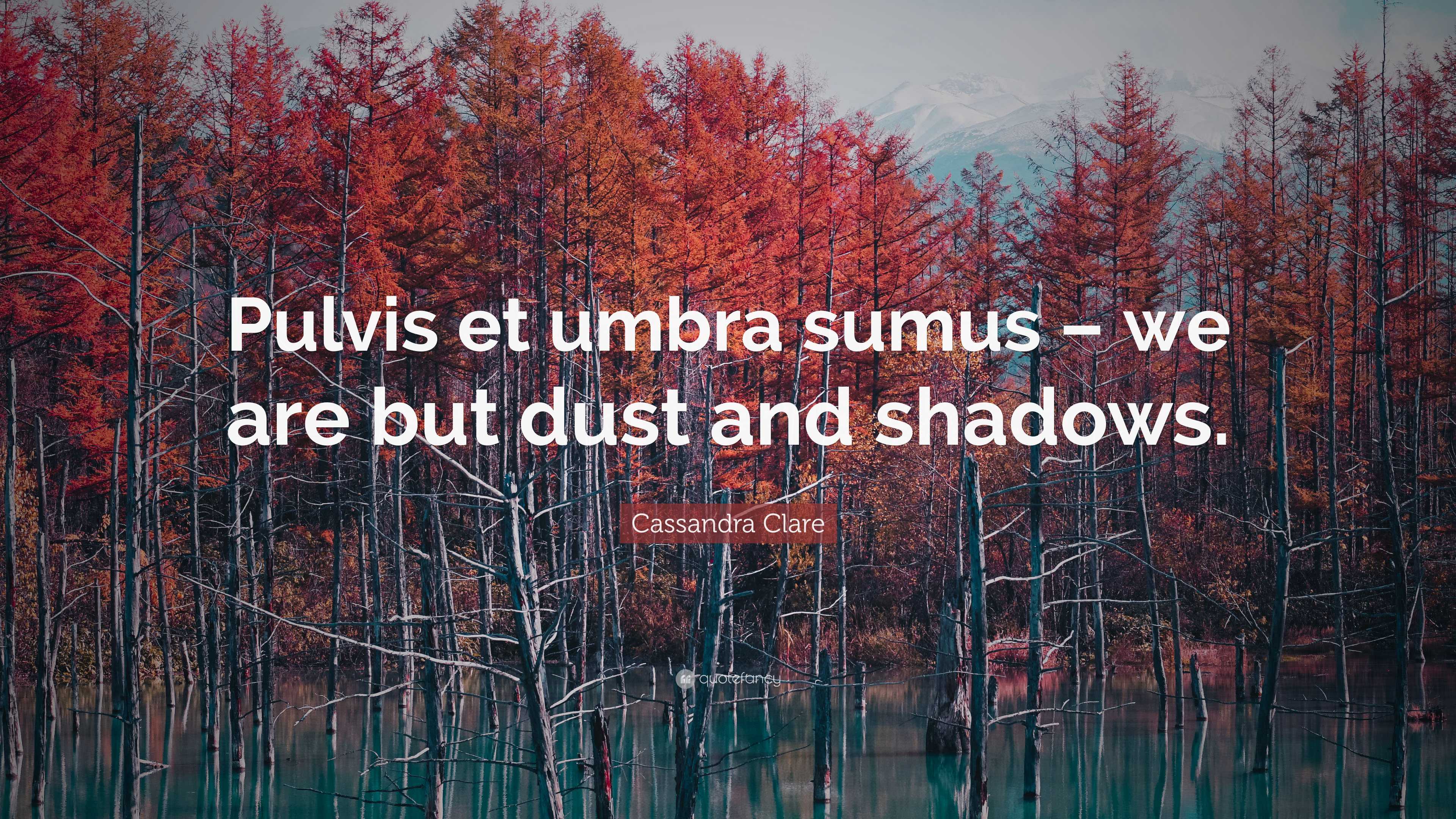 Cassandra Clare Quote “Pulvis et umbra sumus we are but dust and