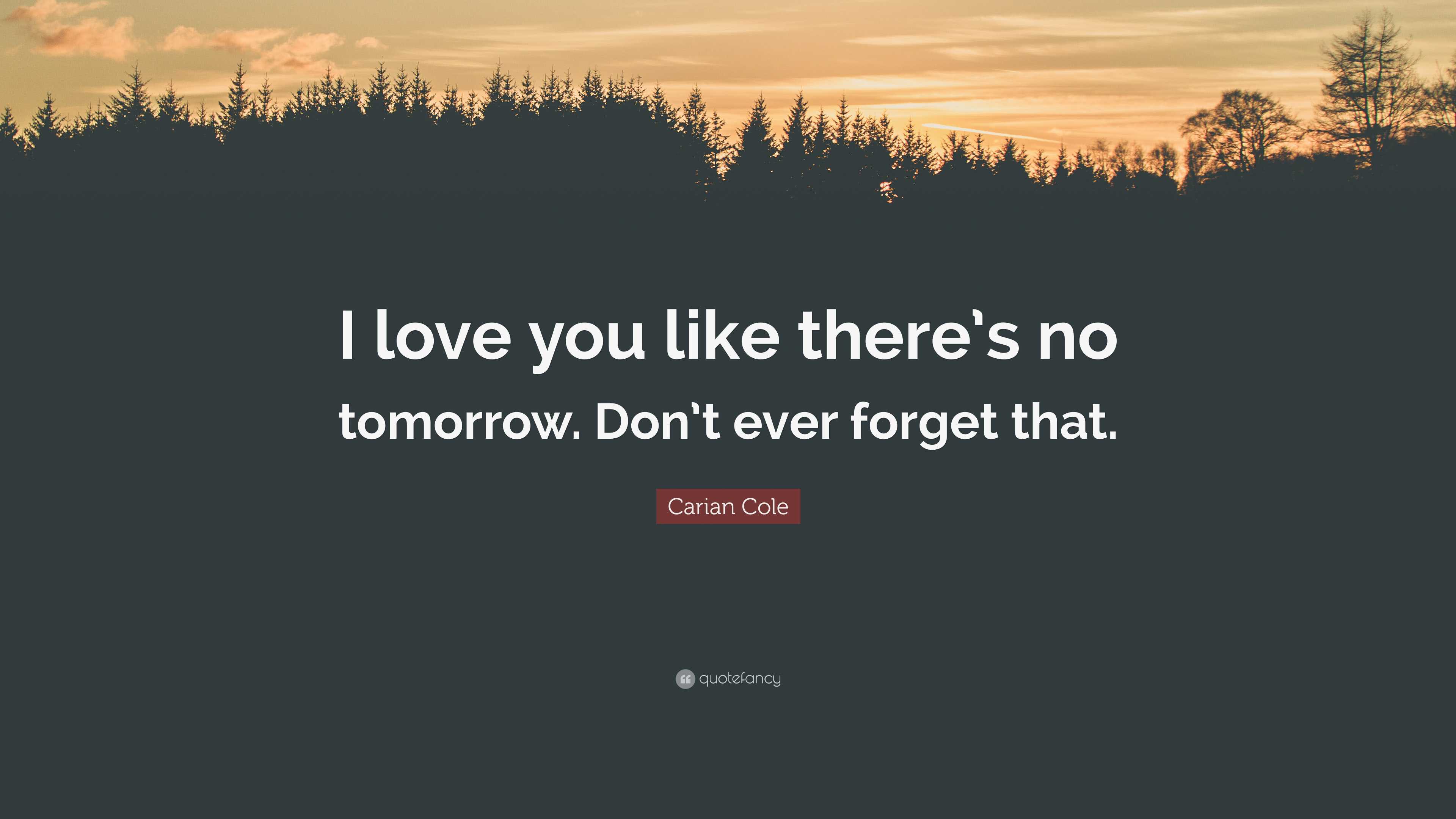 Carian Cole Quote: “I love you like there’s no tomorrow. Don’t ever