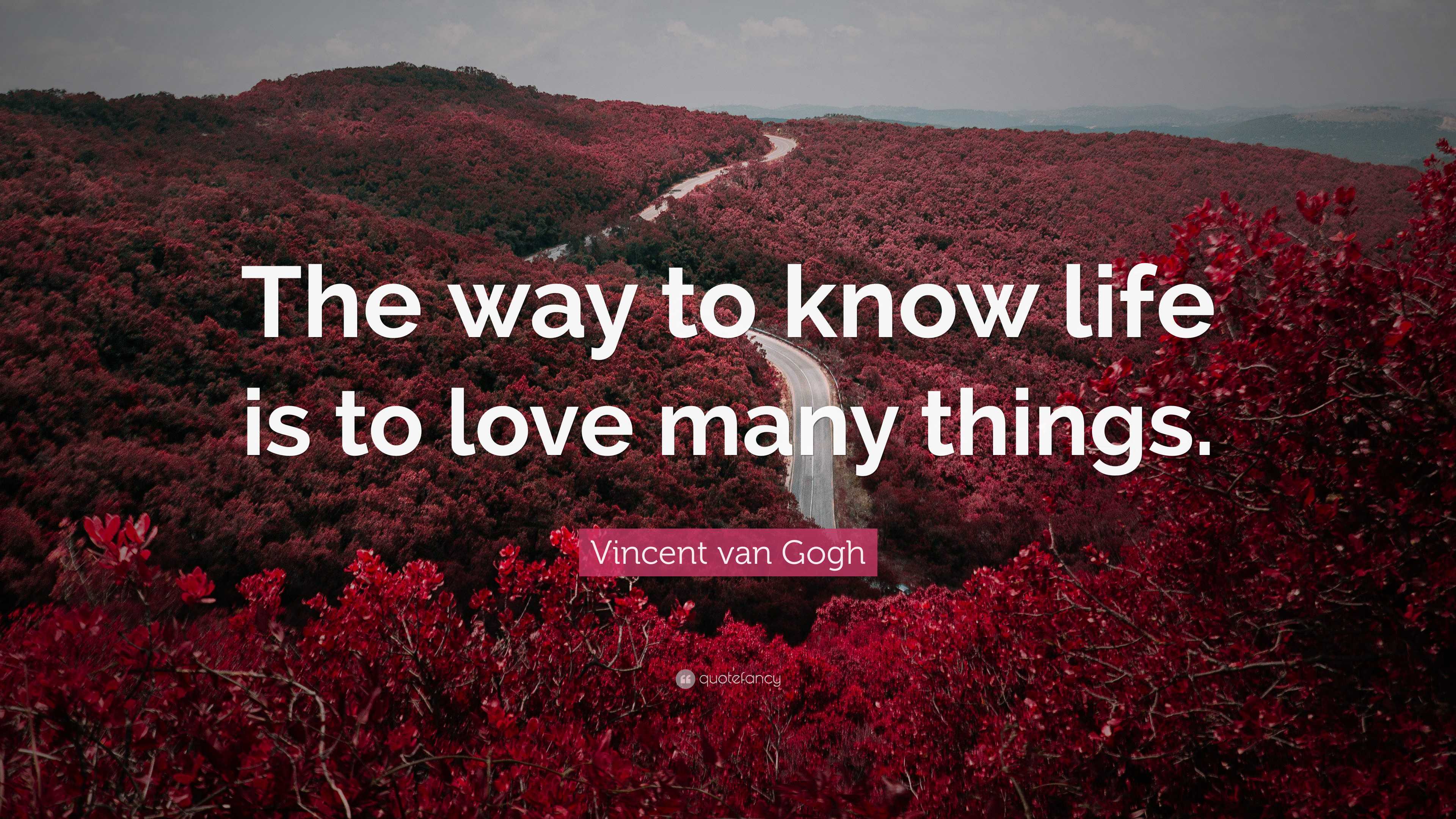 Vincent van Gogh Quote: “The way to know life is to love many things.”