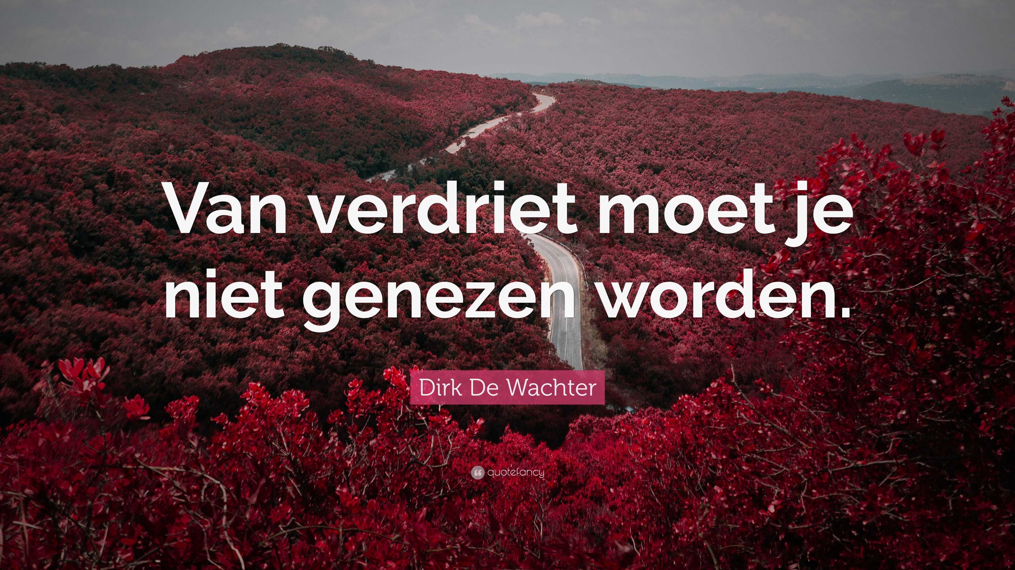 Dirk De Wachter Quote: “Van verdriet moet je niet genezen worden.”