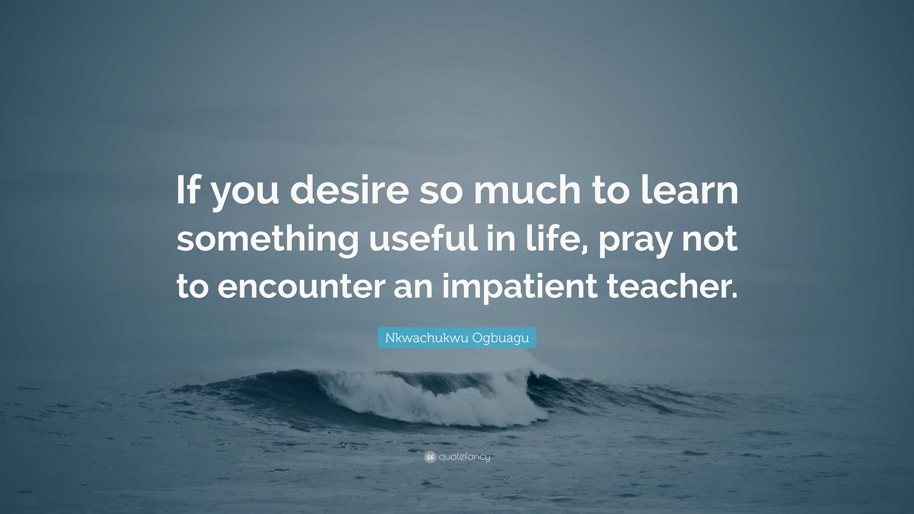 Nkwachukwu Ogbuagu Quote: “If you desire so much to learn something ...