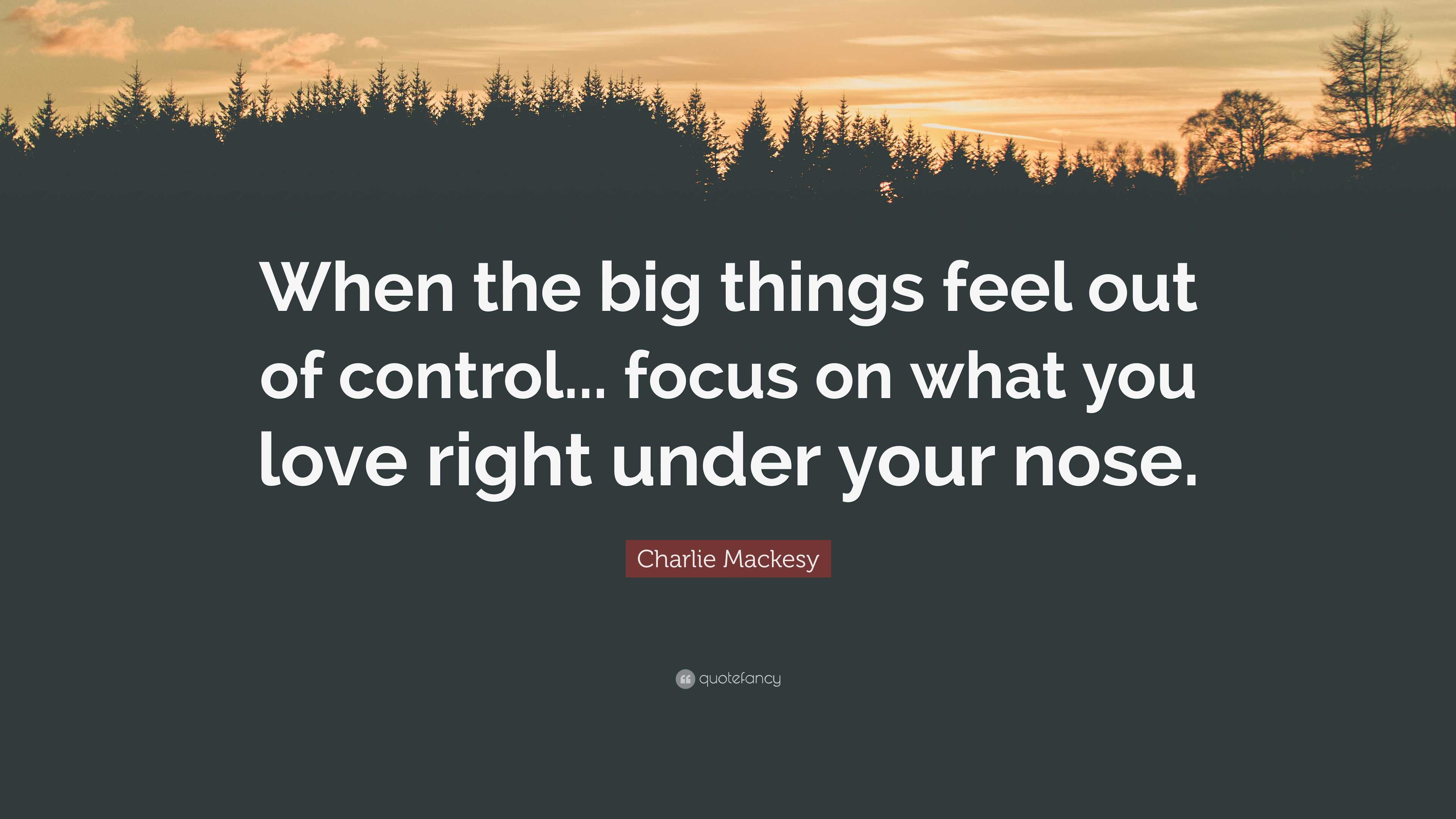 Charlie Mackesy Quote “When the big things feel out of control