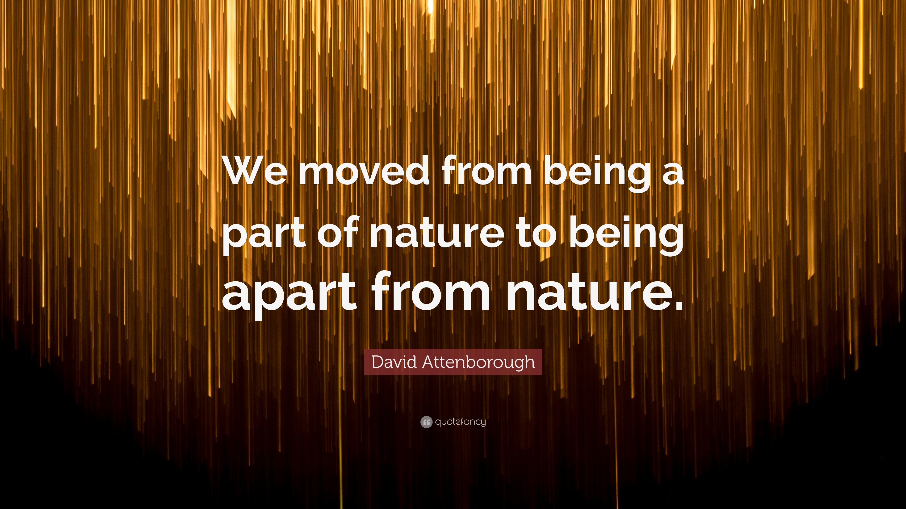 David Attenborough Quote “We moved from being a part of nature to
