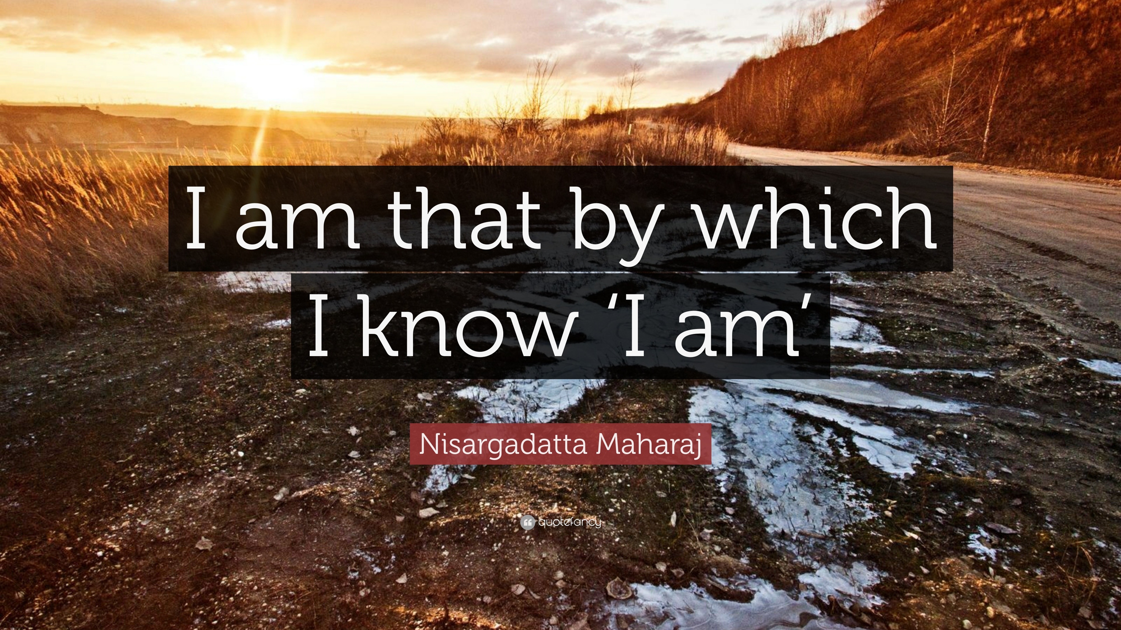 Nisargadatta Maharaj Quote: “I am that by which I know ‘I am’”