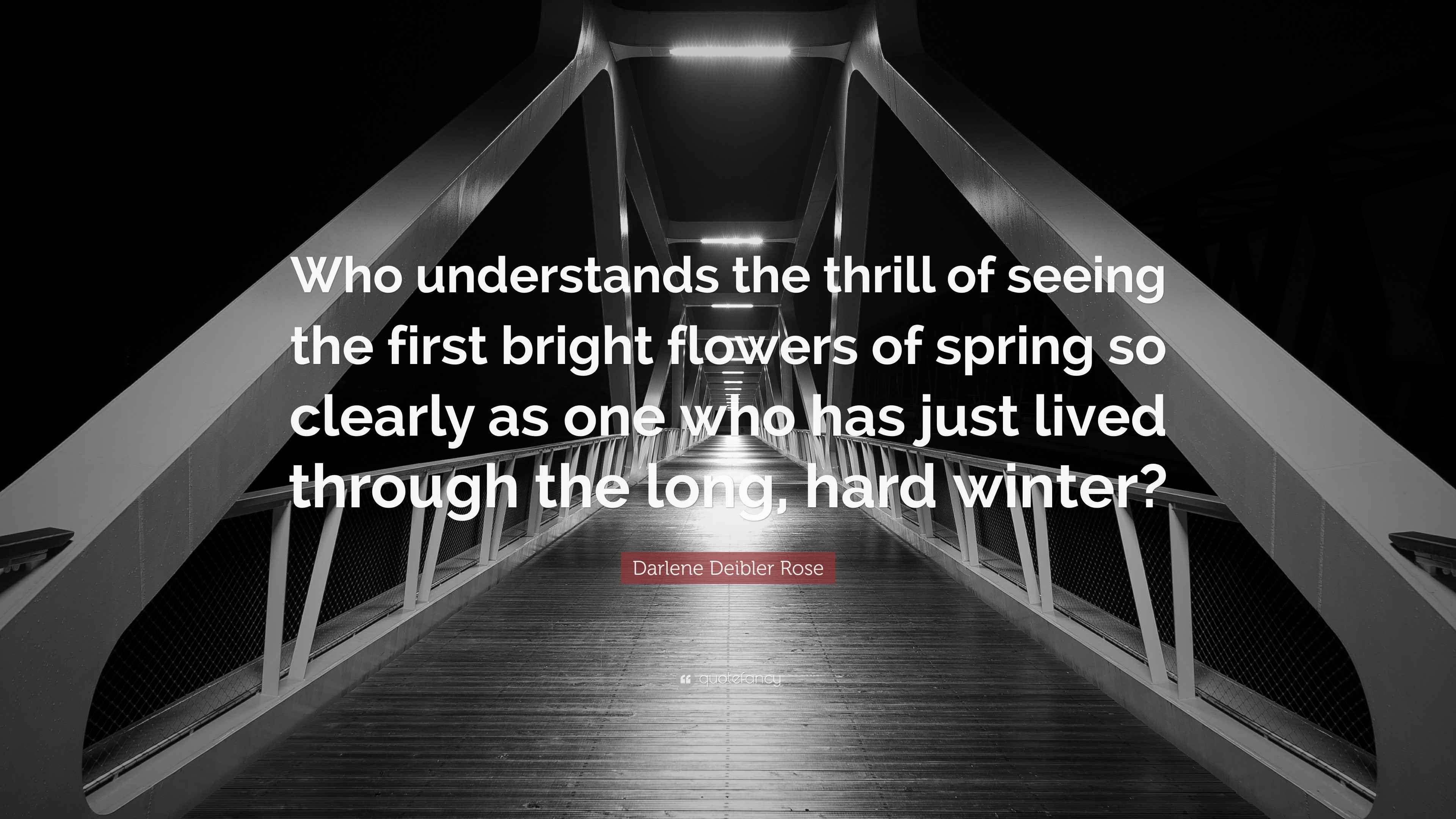 Darlene Deibler Rose Quote “Who understands the thrill of seeing