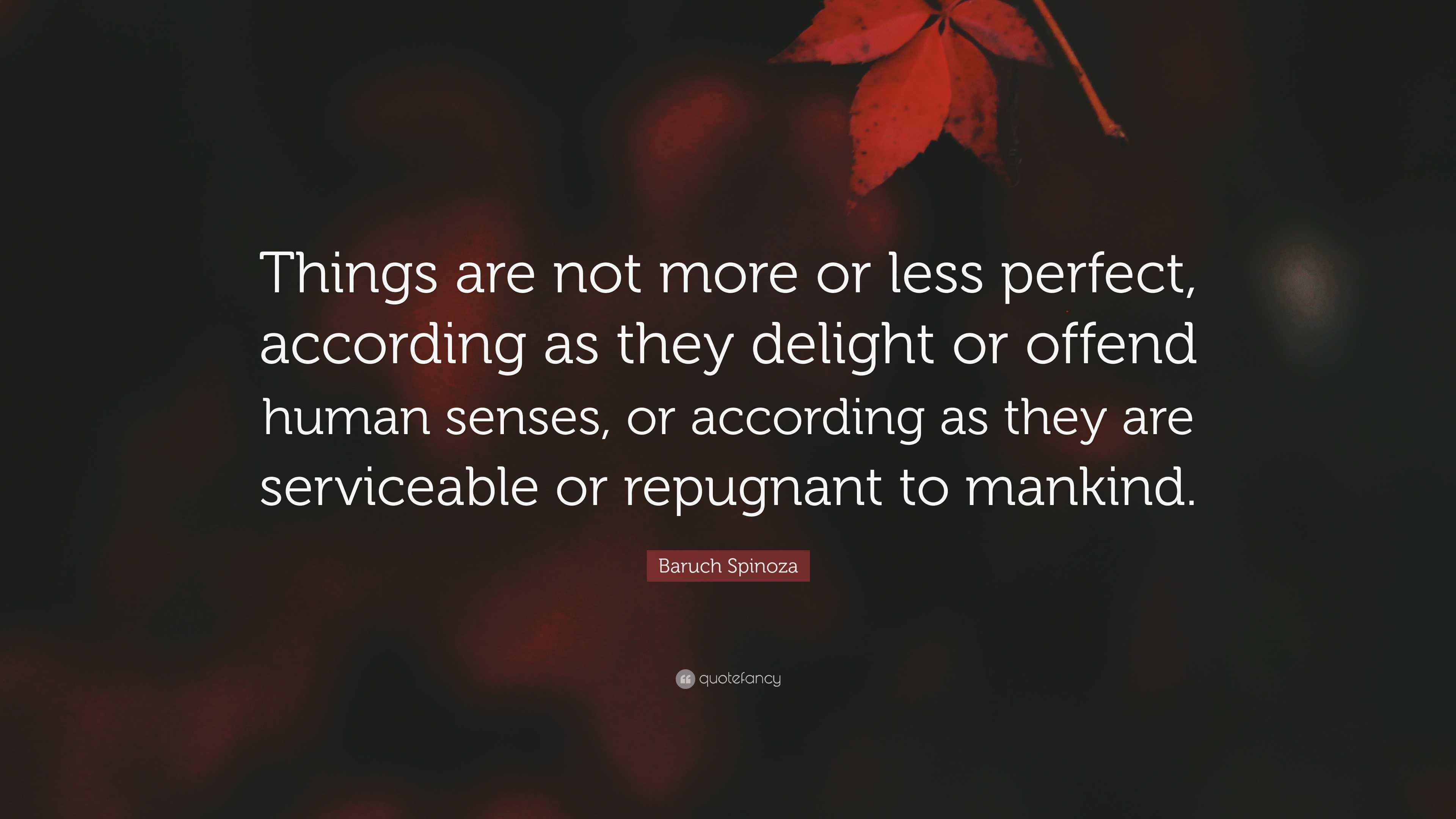 Baruch Spinoza Quote: “Things are not more or less perfect, according ...