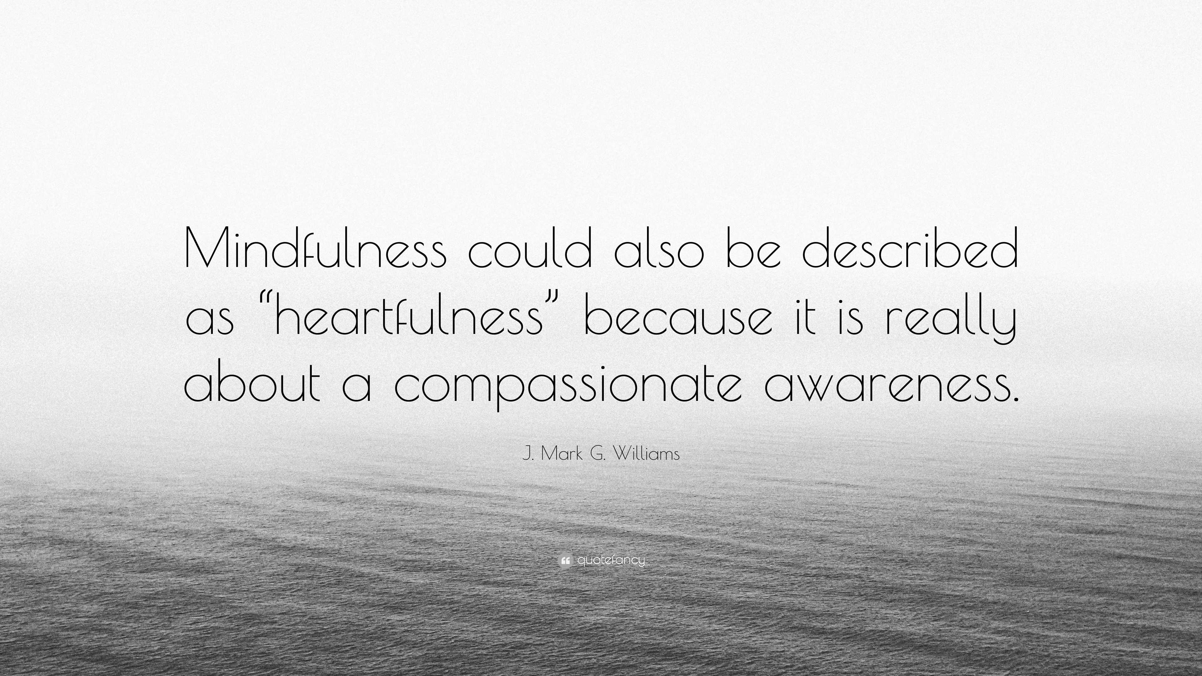 Discover the power of Heartfulness meditation and unlock the infinite  potential within you. Connecting with your heart will give you a more… |  Instagram