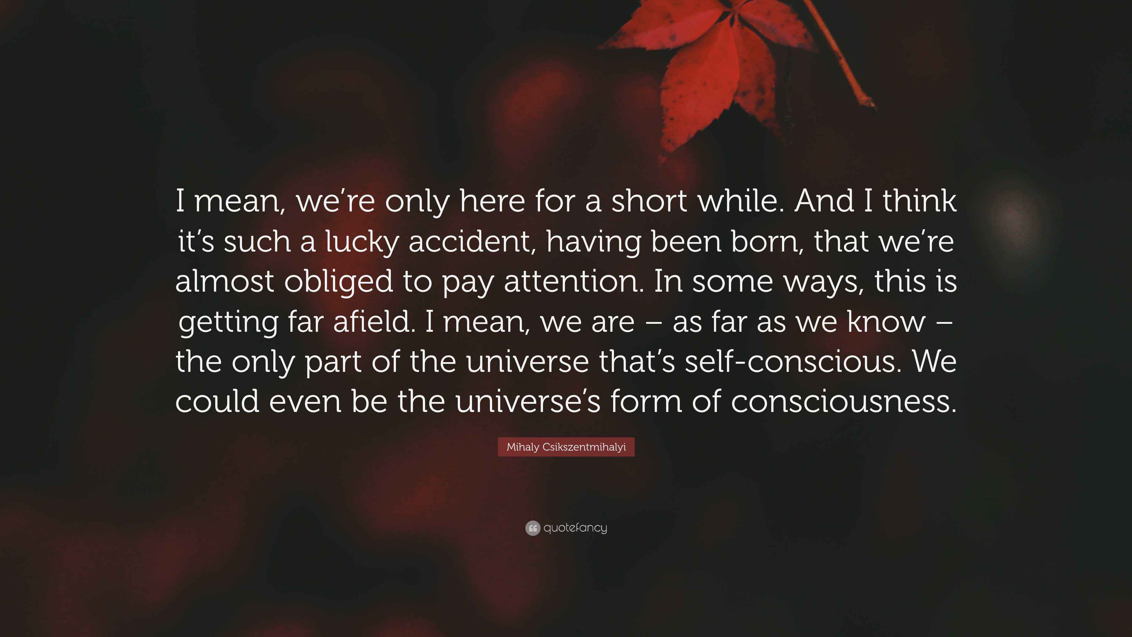 Mihaly Csikszentmihalyi Quote: “I mean, were only here for a short while.  And I think its such a lucky accident, having been born, that were  almost...”