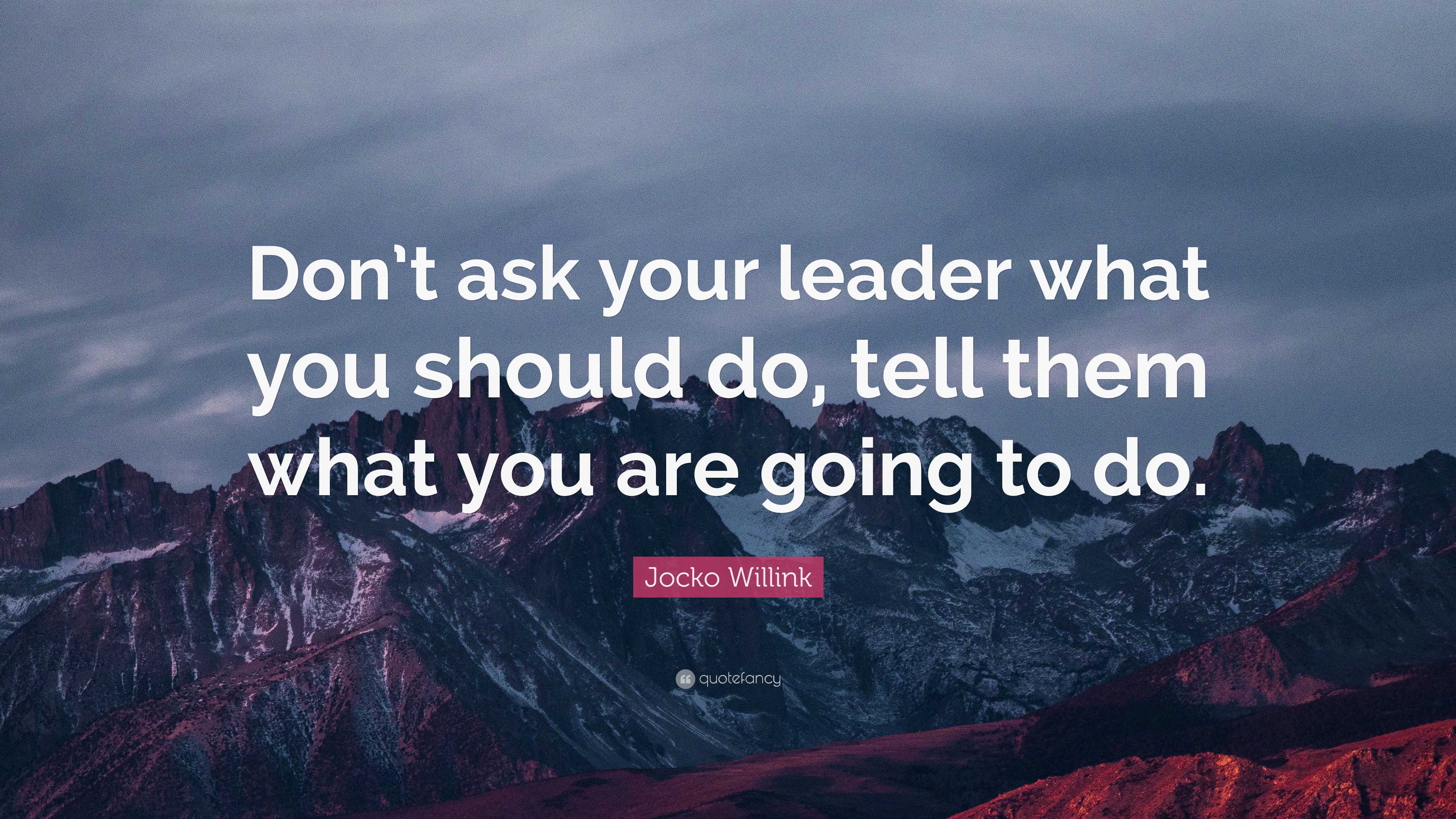 Jocko Willink Quote: “Don’t ask your leader what you should do, tell ...