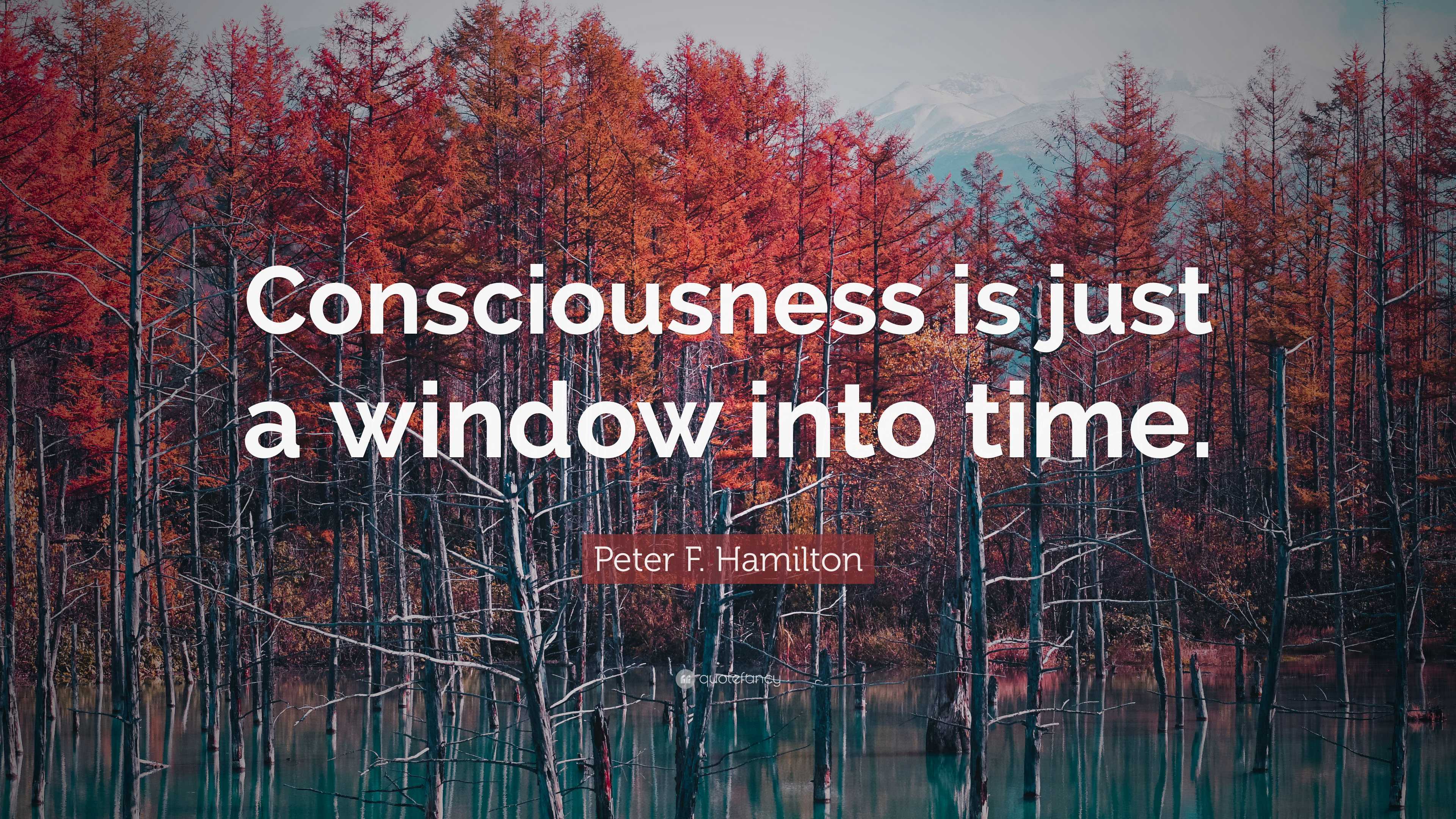 https://quotefancy.com/media/wallpaper/3840x2160/7881517-Peter-F-Hamilton-Quote-Consciousness-is-just-a-window-into-time.jpg