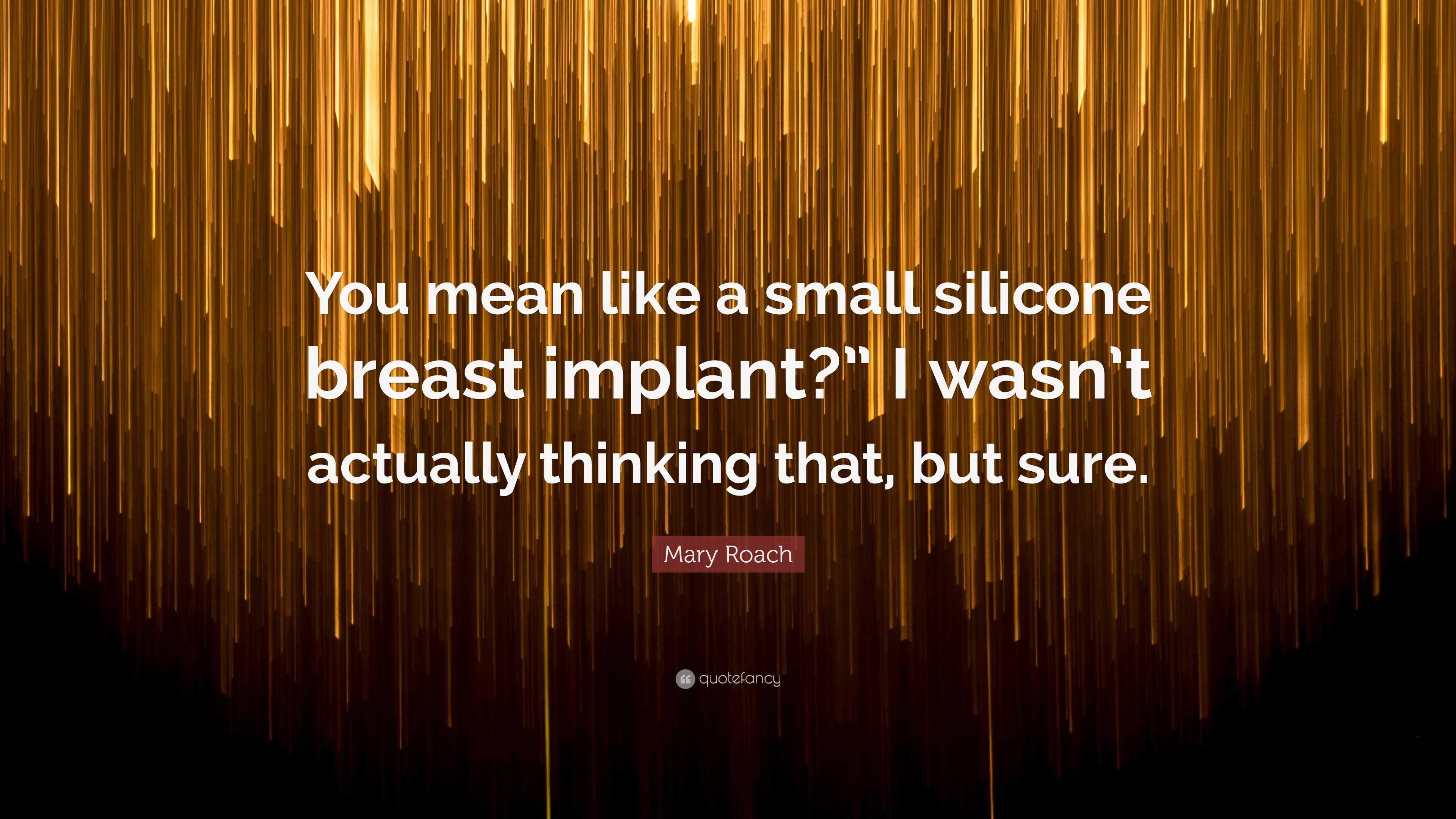 Mary Roach Quote You mean like a small silicone breast implant