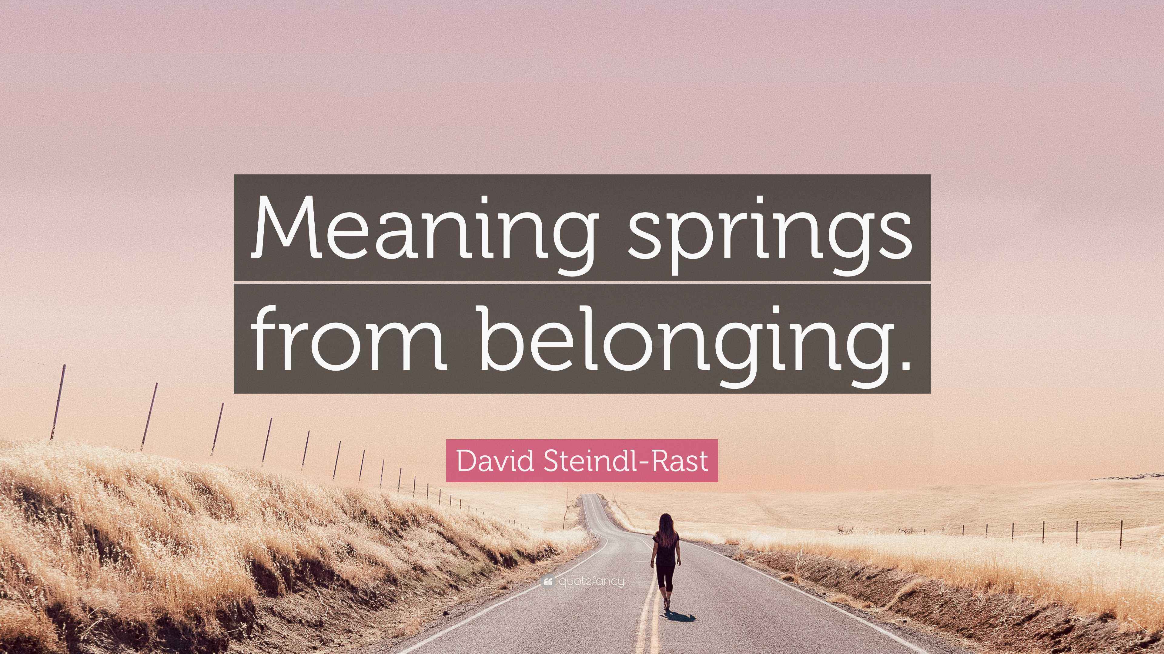 David SteindlRast Quote “Meaning springs from belonging.”