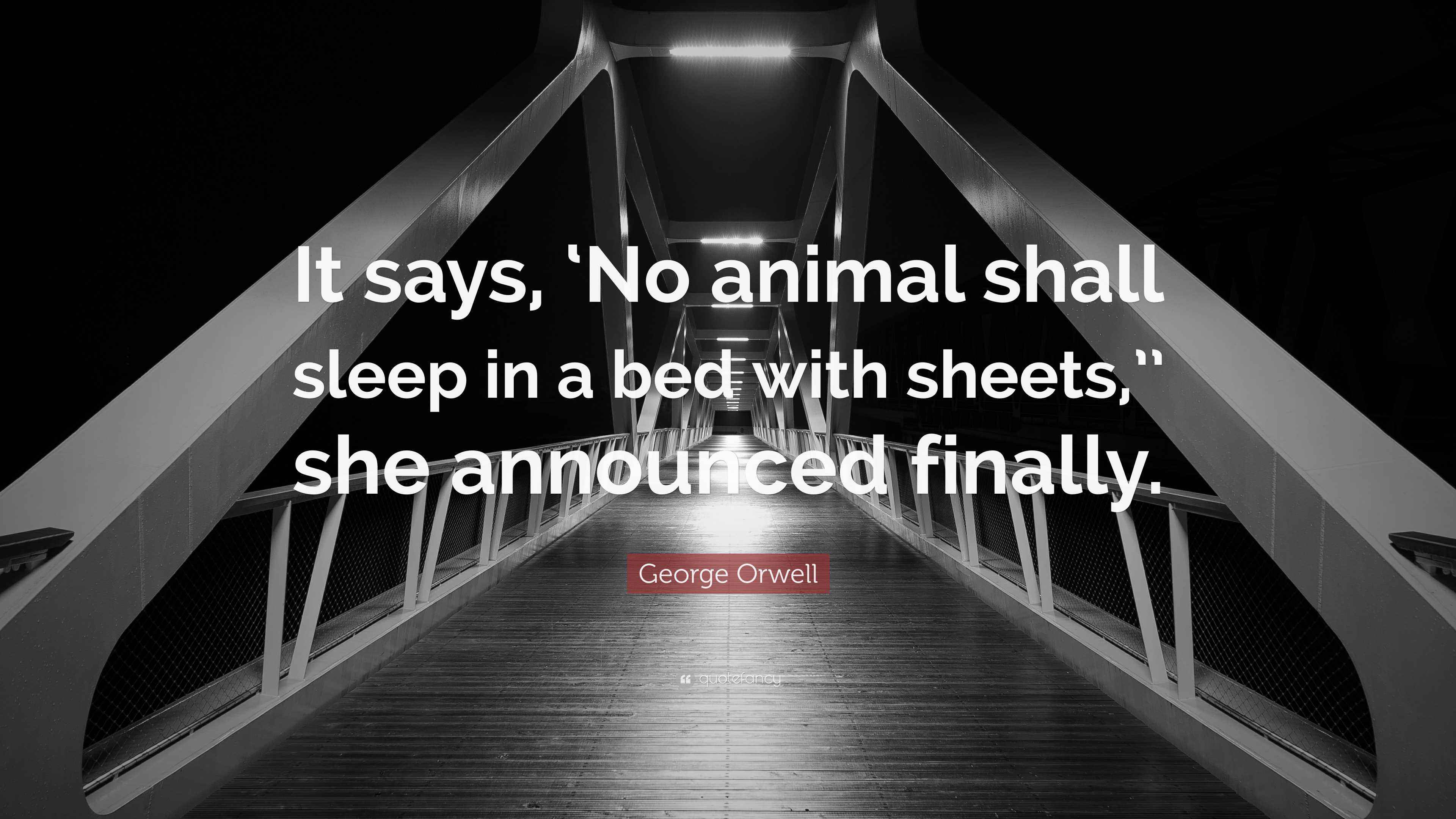 Orwell Quote “It says, ‘No animal shall sleep in a bed with