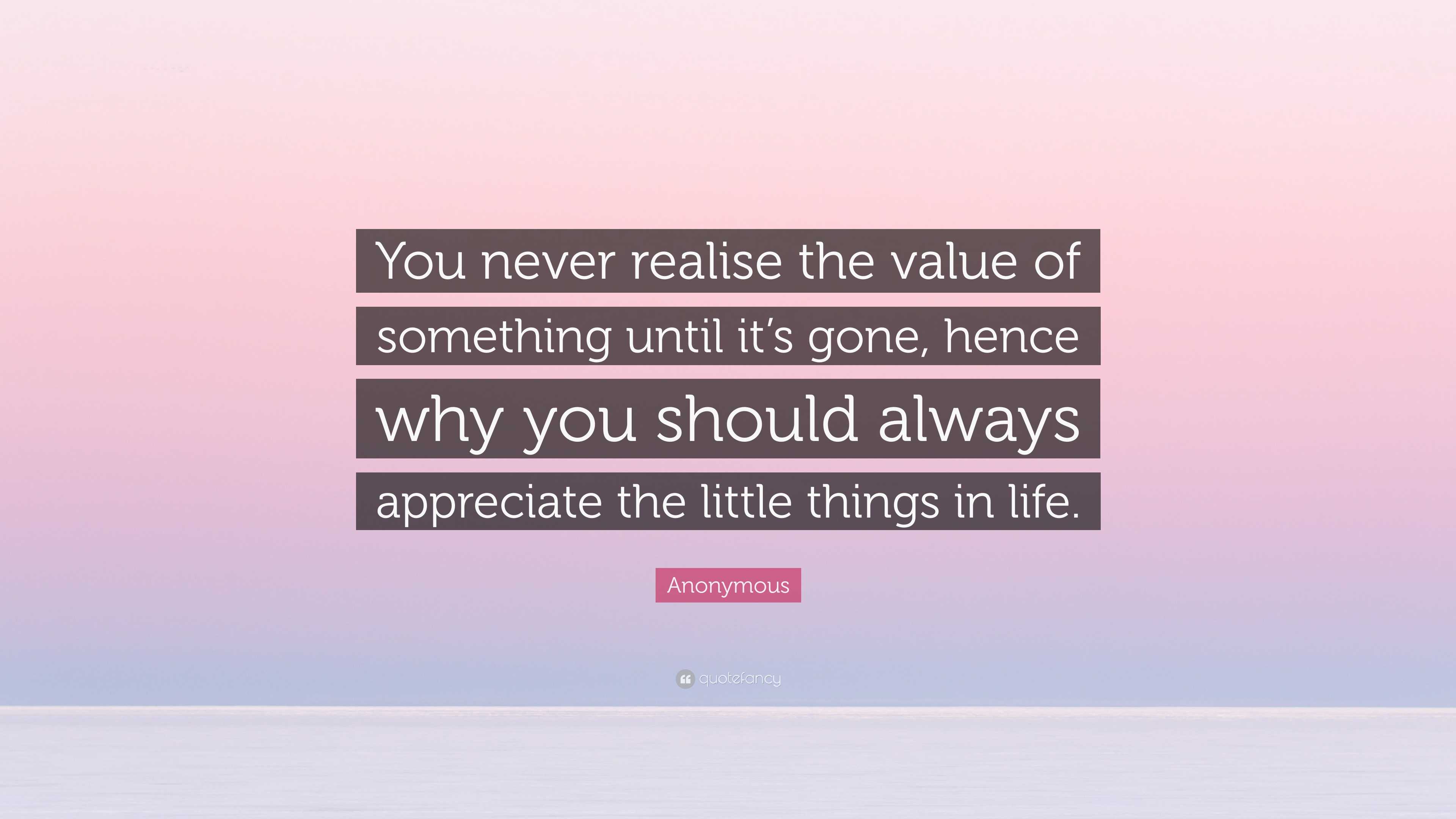 Anonymous Quote: “You never realise the value of something until it’s ...