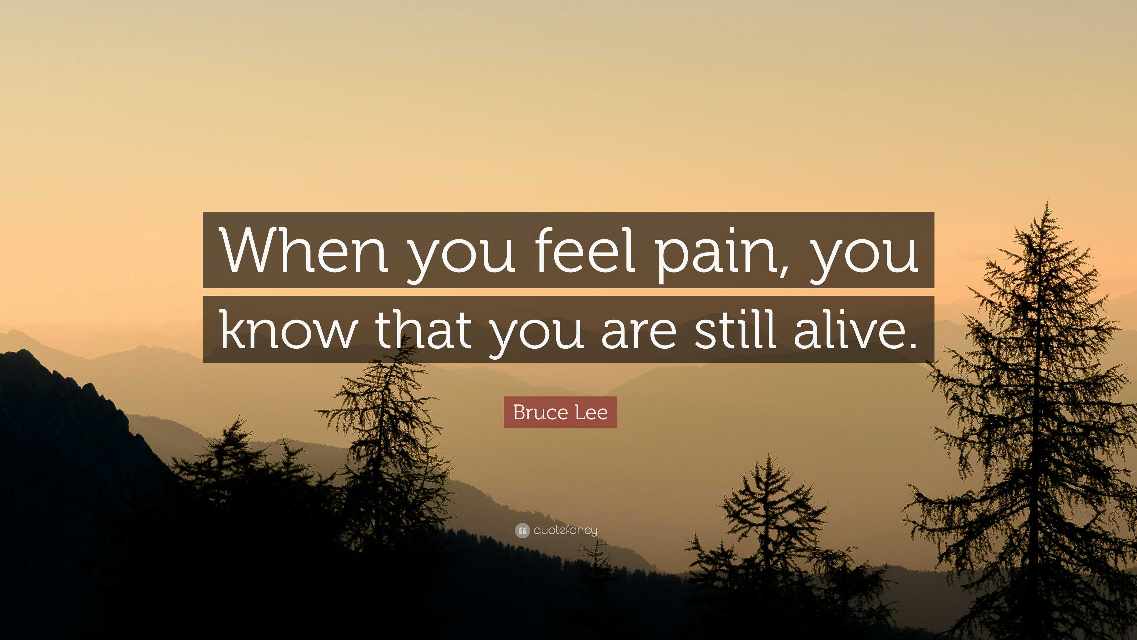 Bruce Lee Quote: “When you feel pain, you know that you are still alive.”