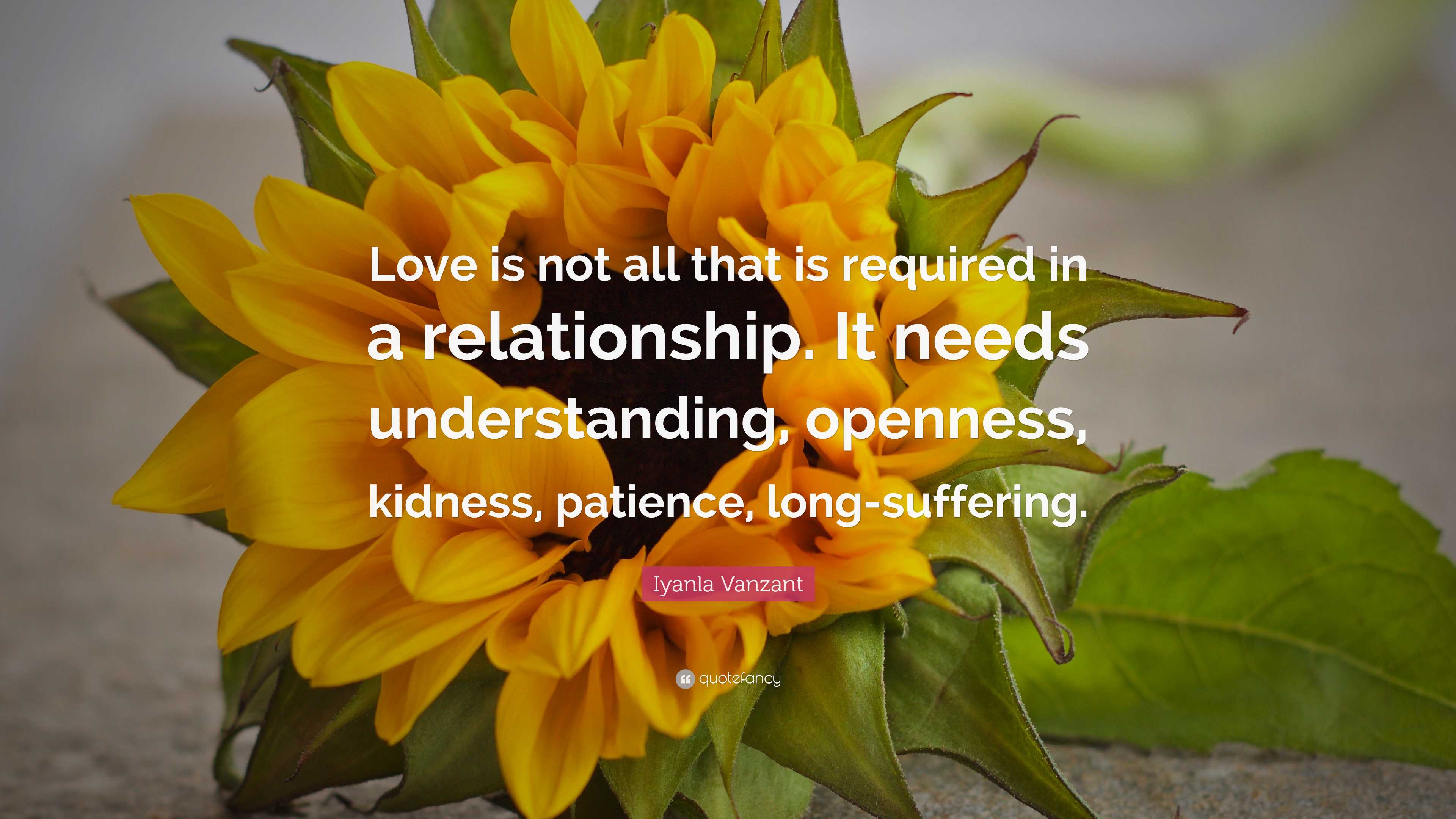 Iyanla Vanzant Quote: “Love is not all that is required in a ...