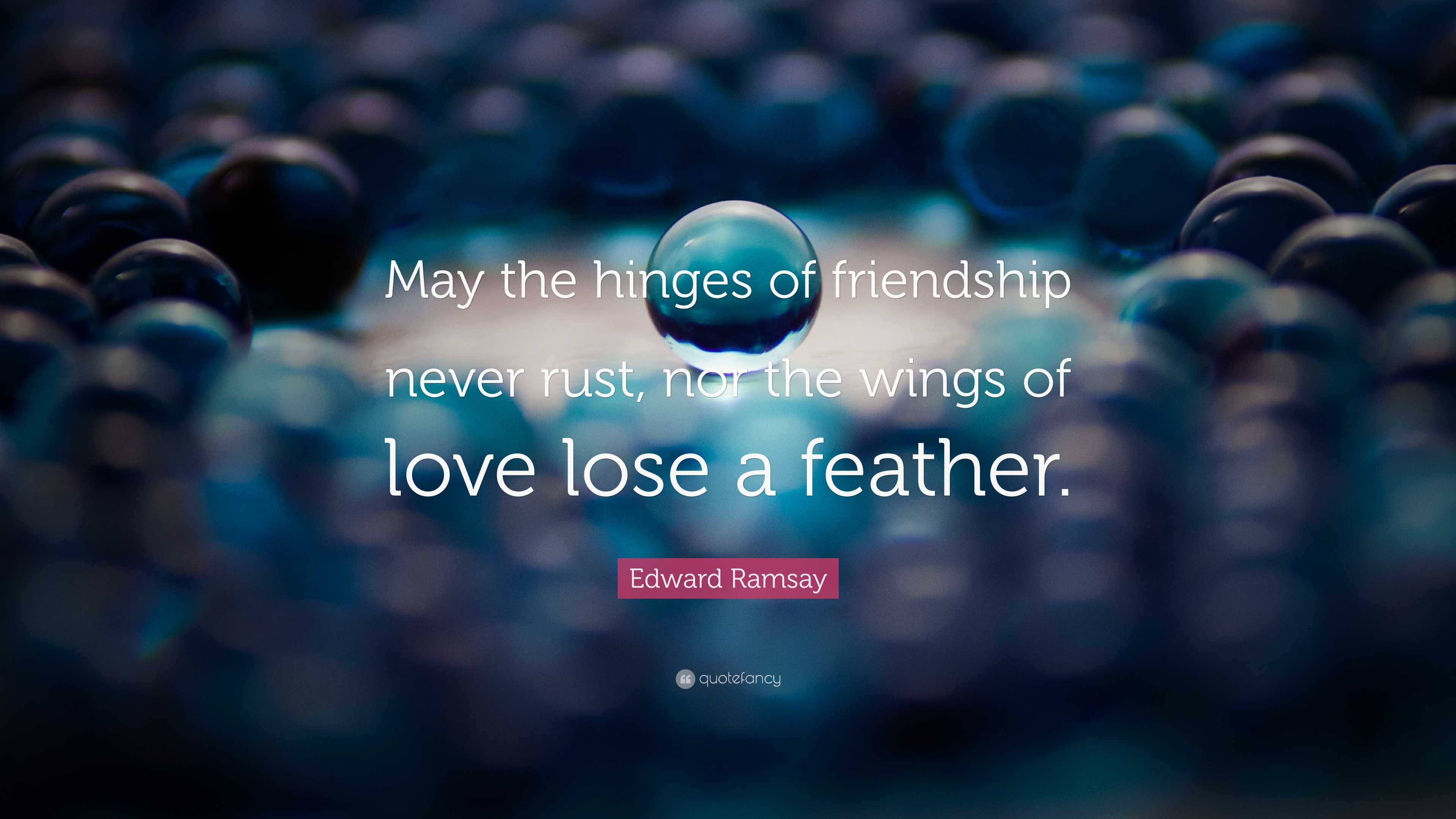 Wings of Friendship