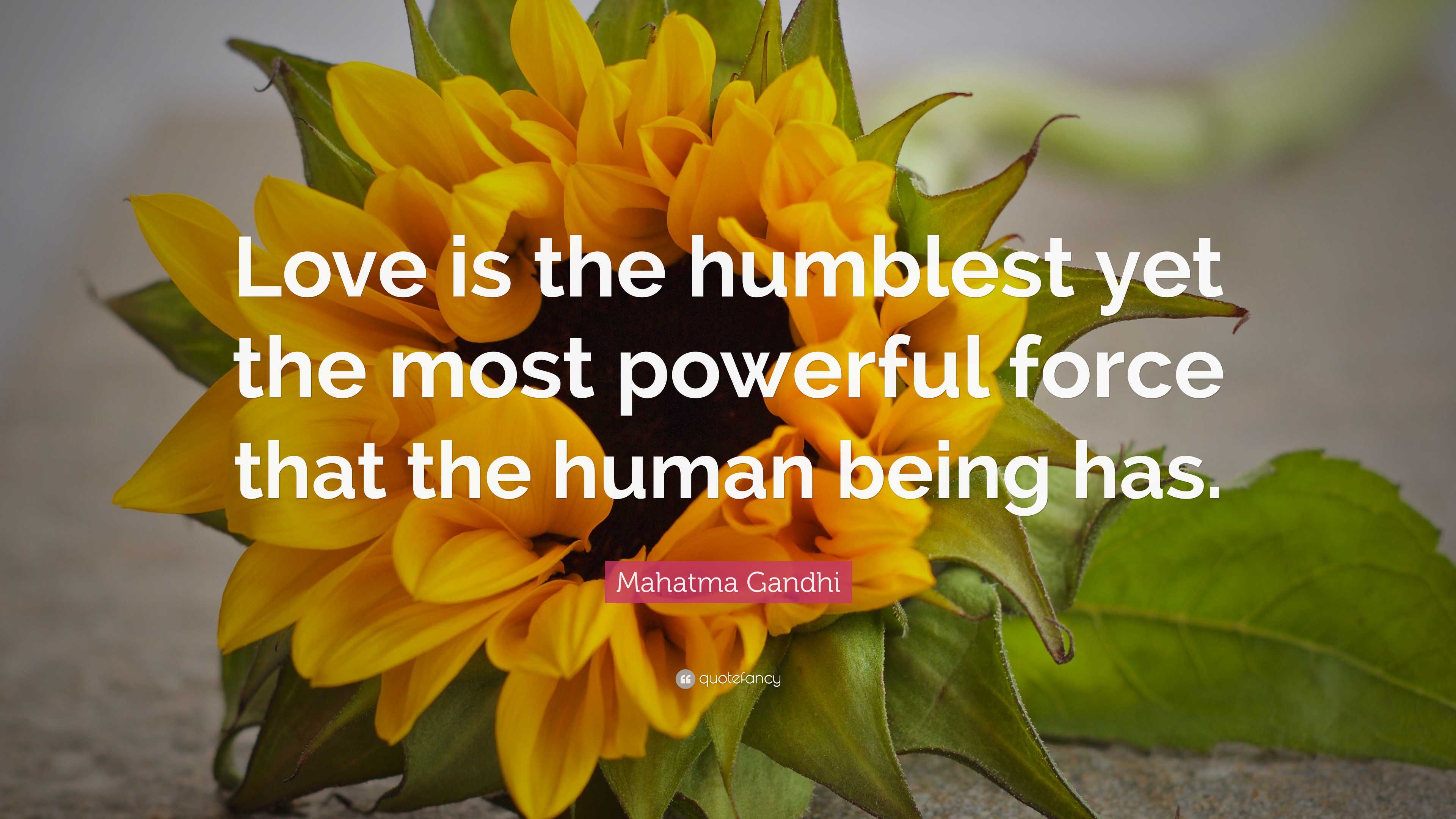 Mahatma Gandhi Quote: “Love is the humblest yet the most powerful force ...