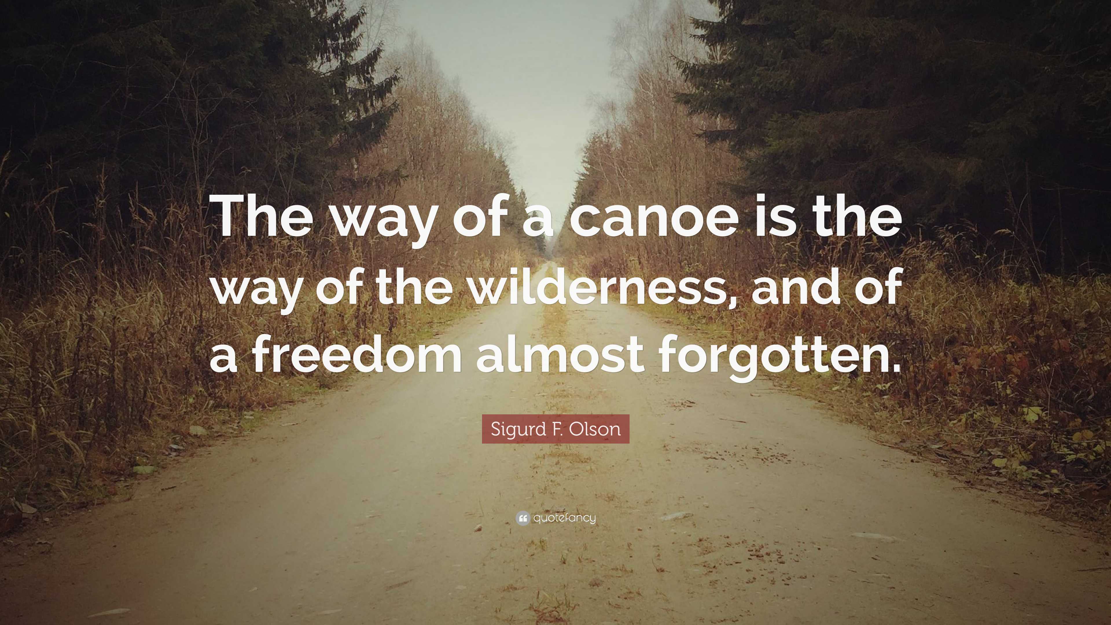 Sigurd F. Olson Quote: “the Way Of A Canoe Is The Way Of The Wilderness 