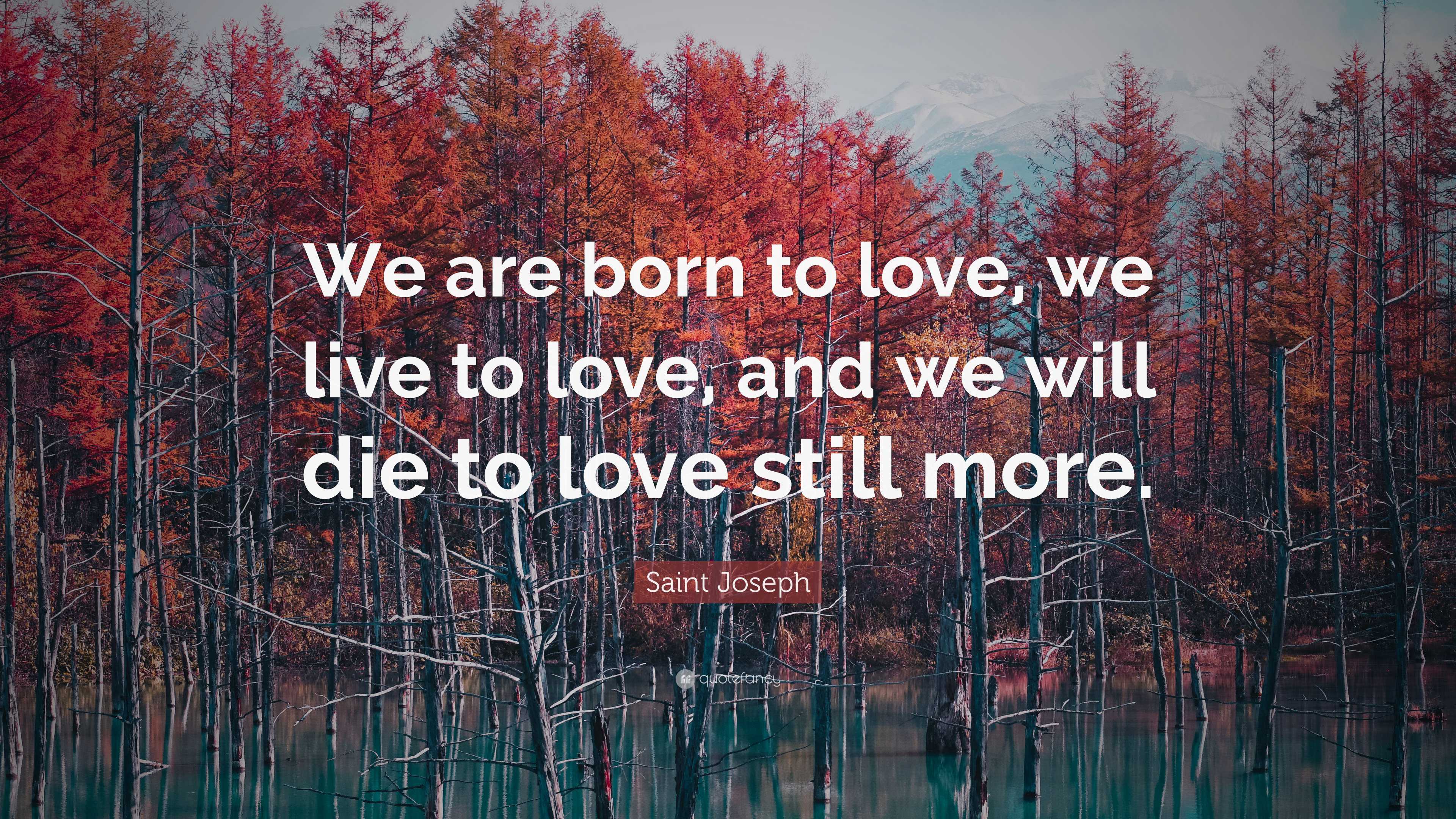 Saint Joseph Quote: “We are born to love, we live to love, and we will ...