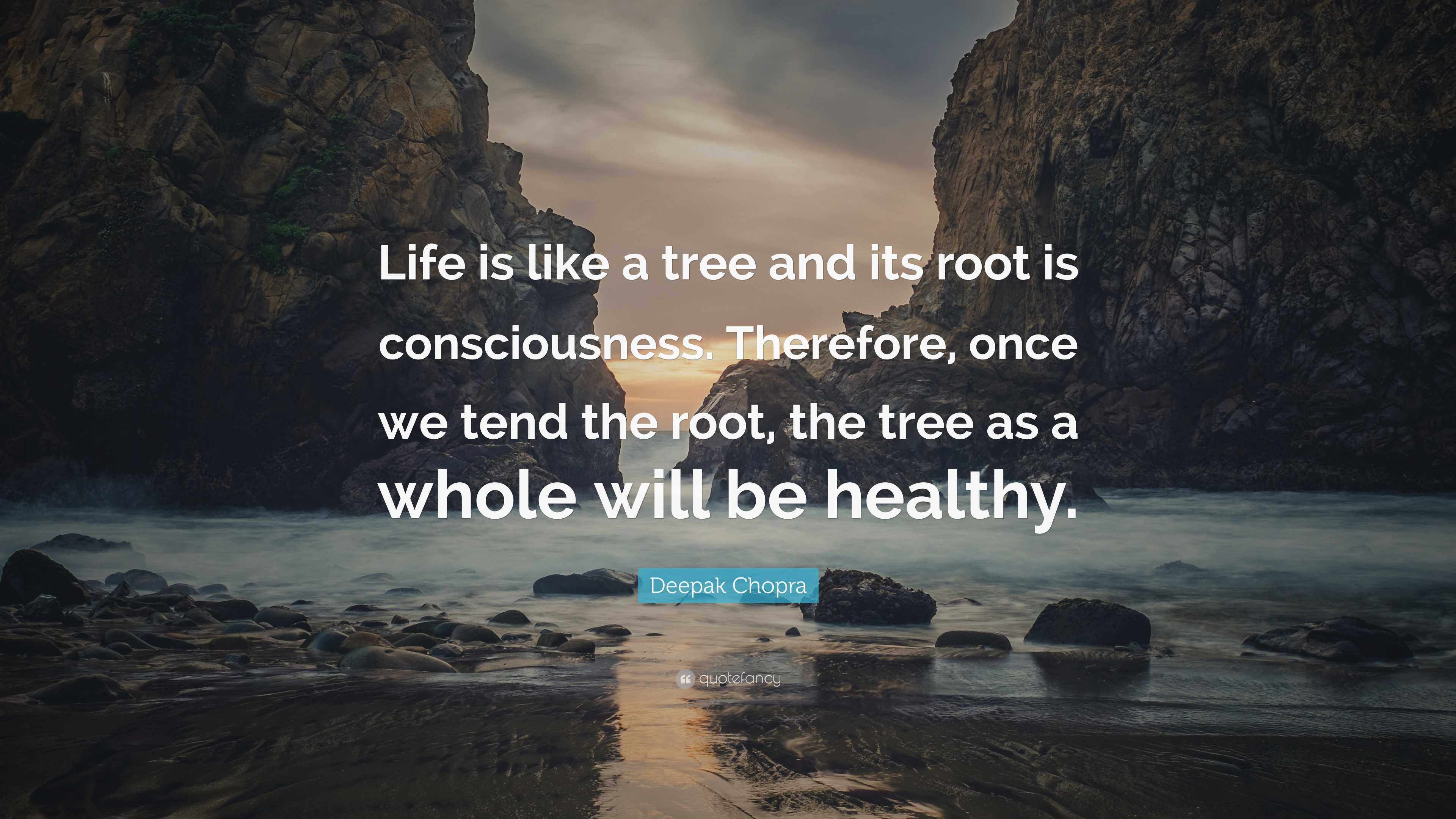 Deepak Chopra Quote: “Life is like a tree and its root is consciousness