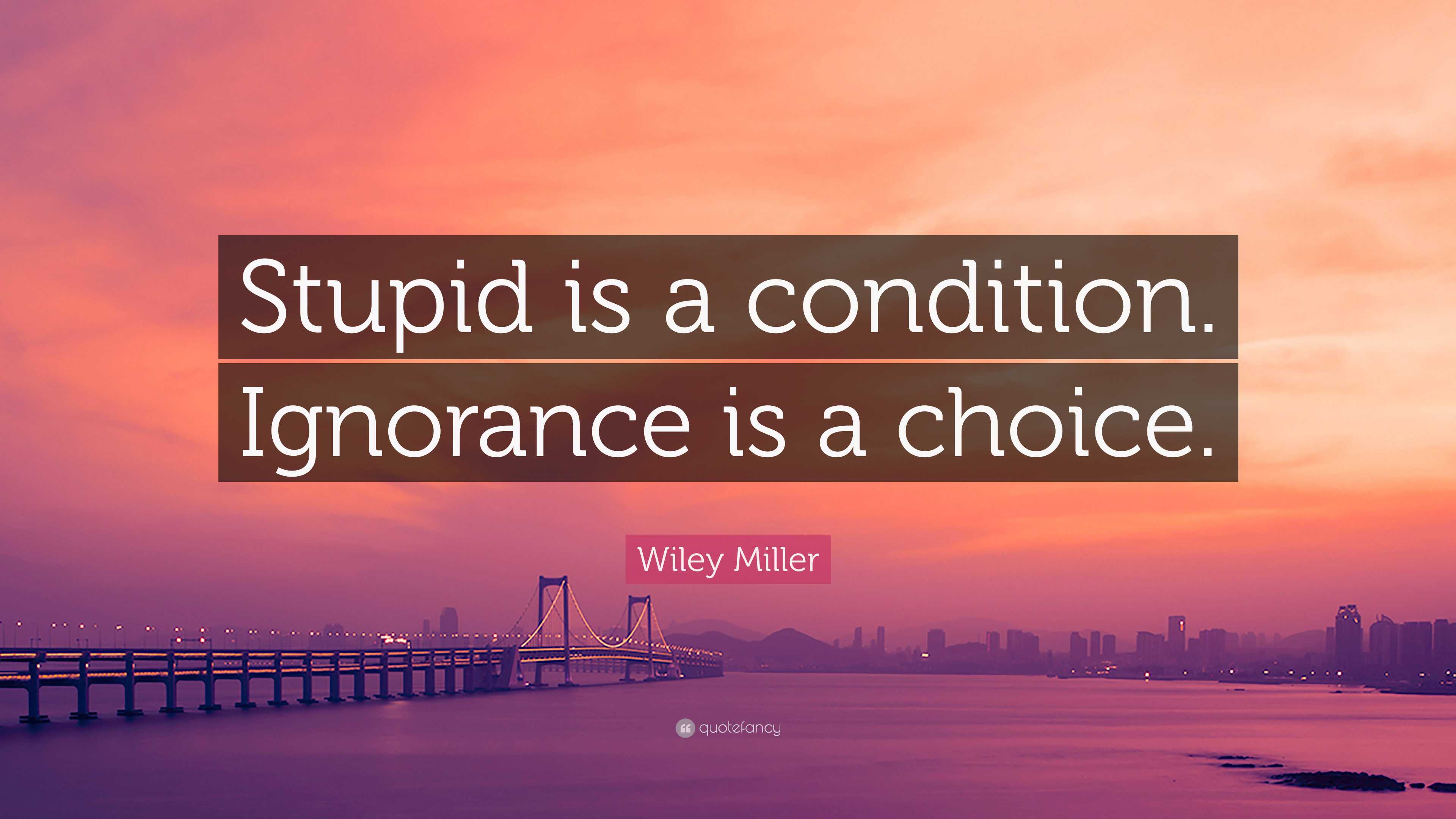 Wiley Miller Quote: “Stupid is a condition. Ignorance is a choice.”