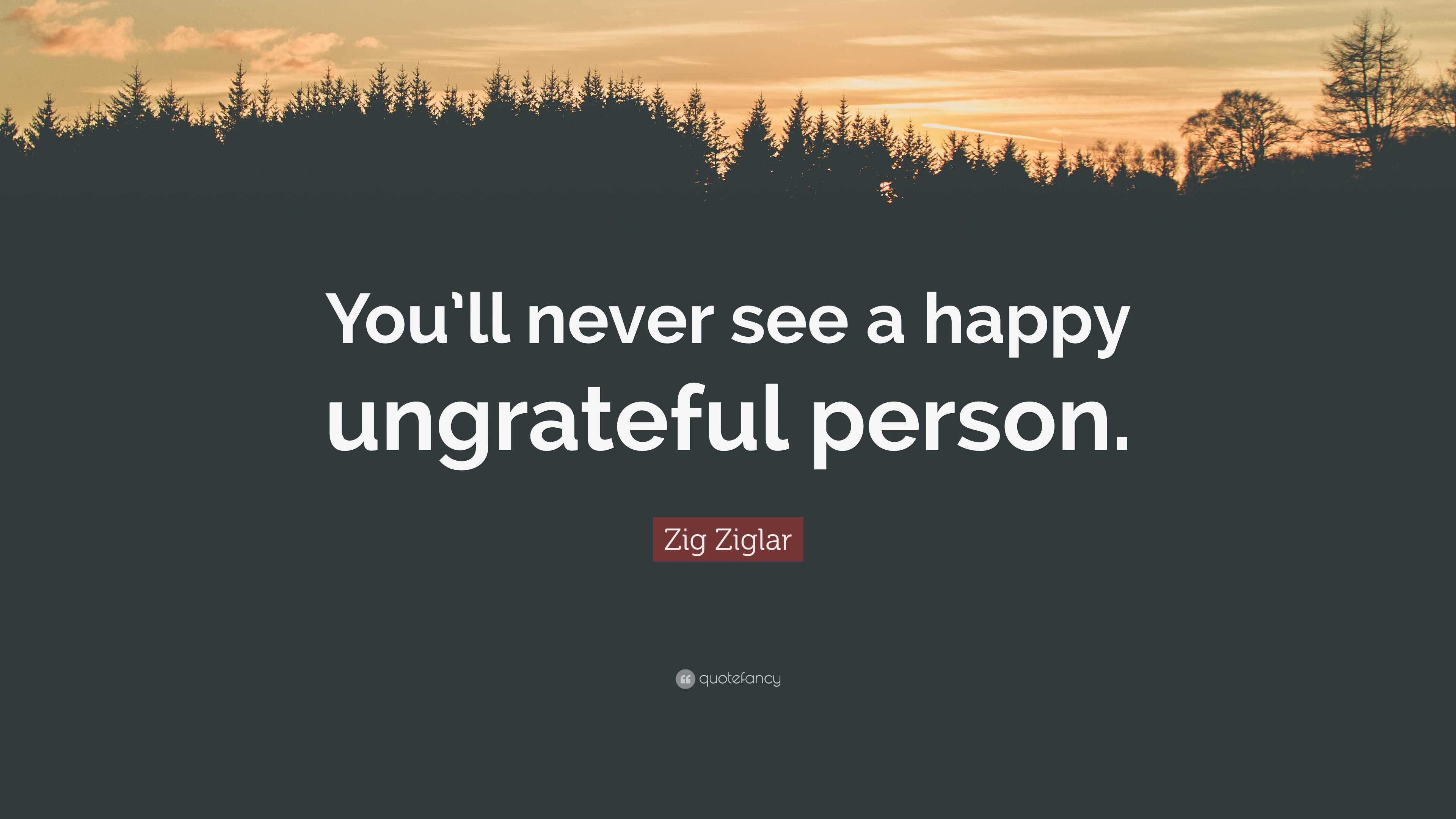 7922807-Zig-Ziglar-Quote-You-ll-never-se
