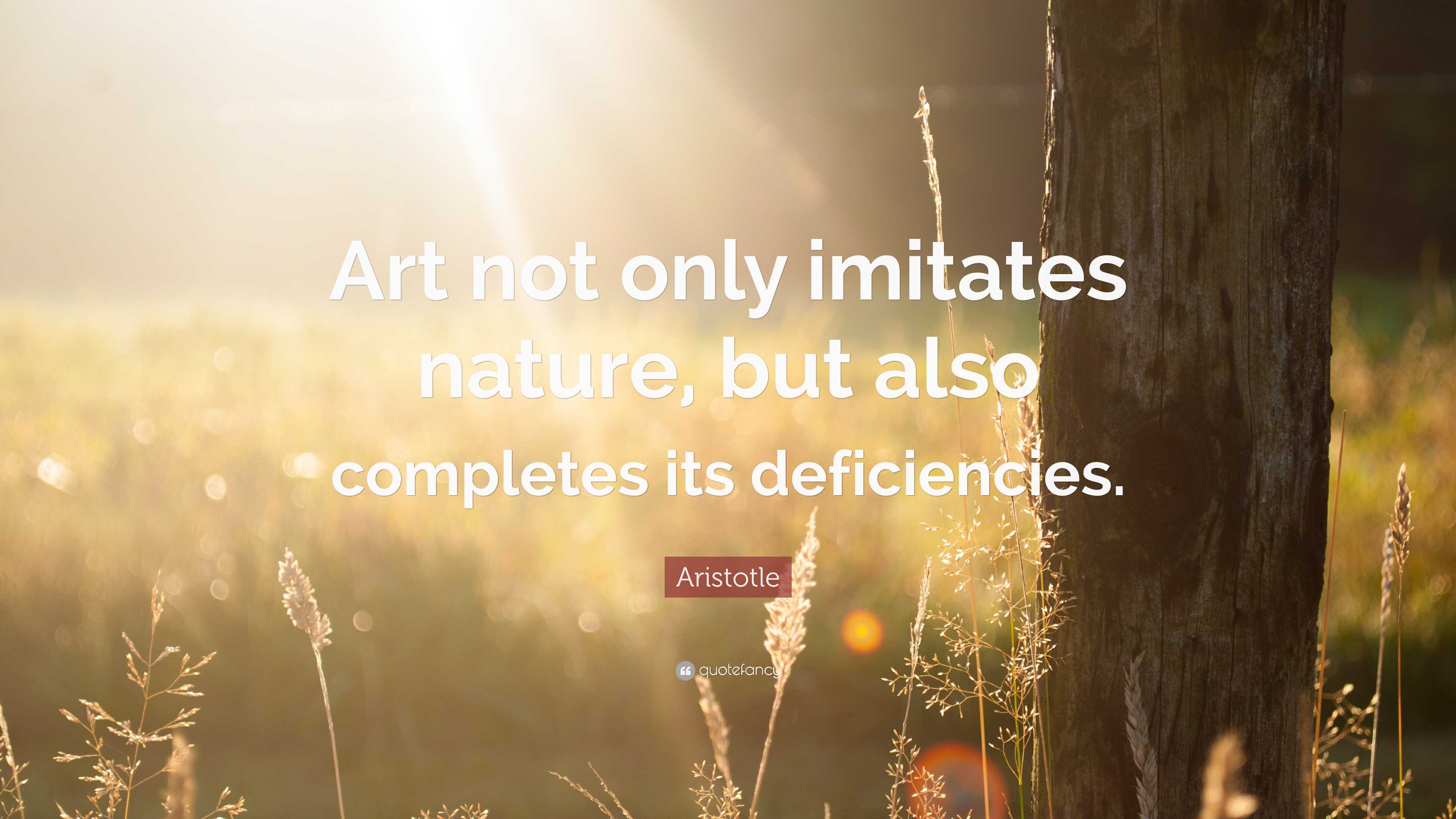 Aristotle Quote “Art not only imitates nature, but also completes its