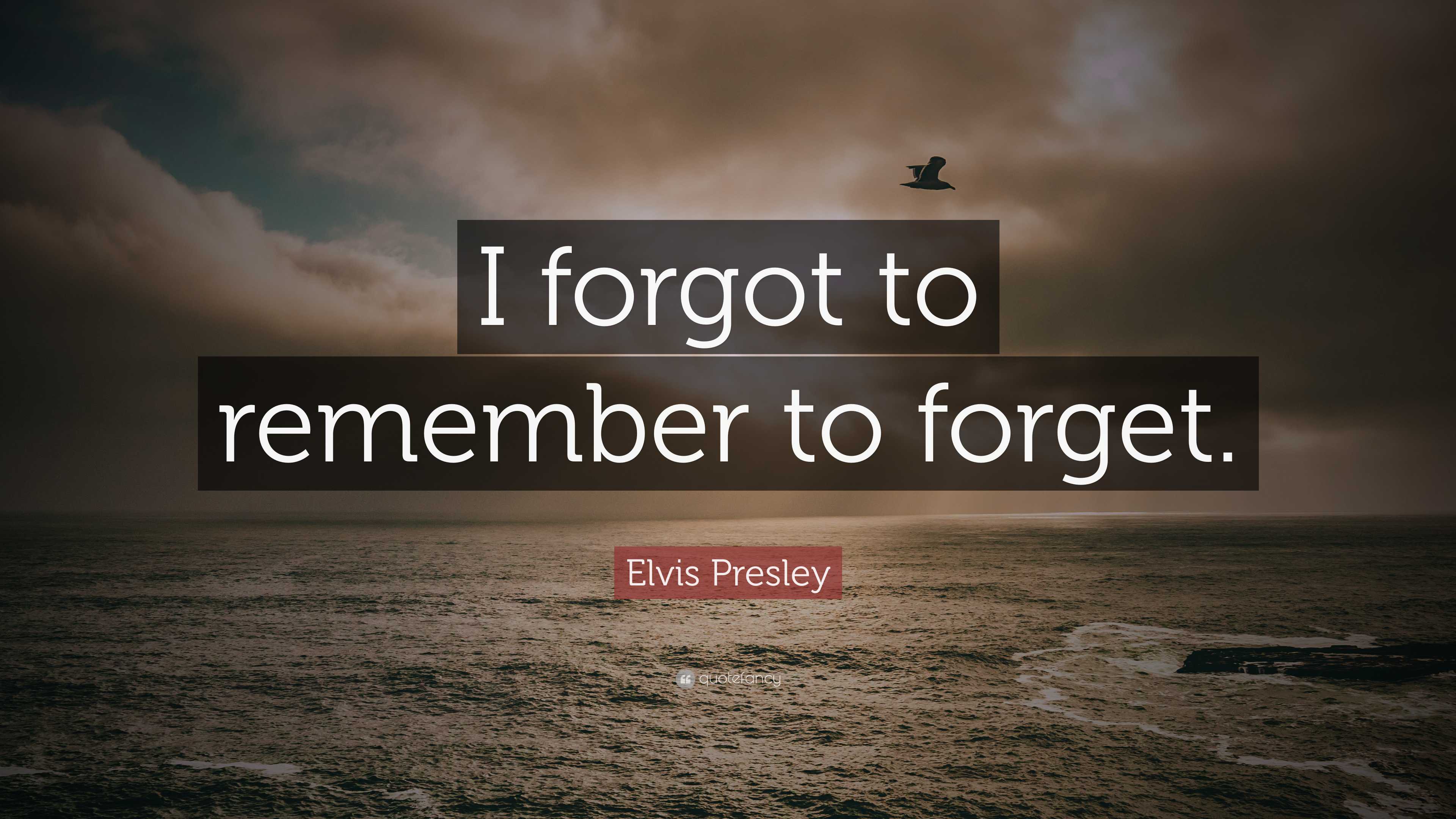 Elvis Presley Quote: I forgot to remember to forget.