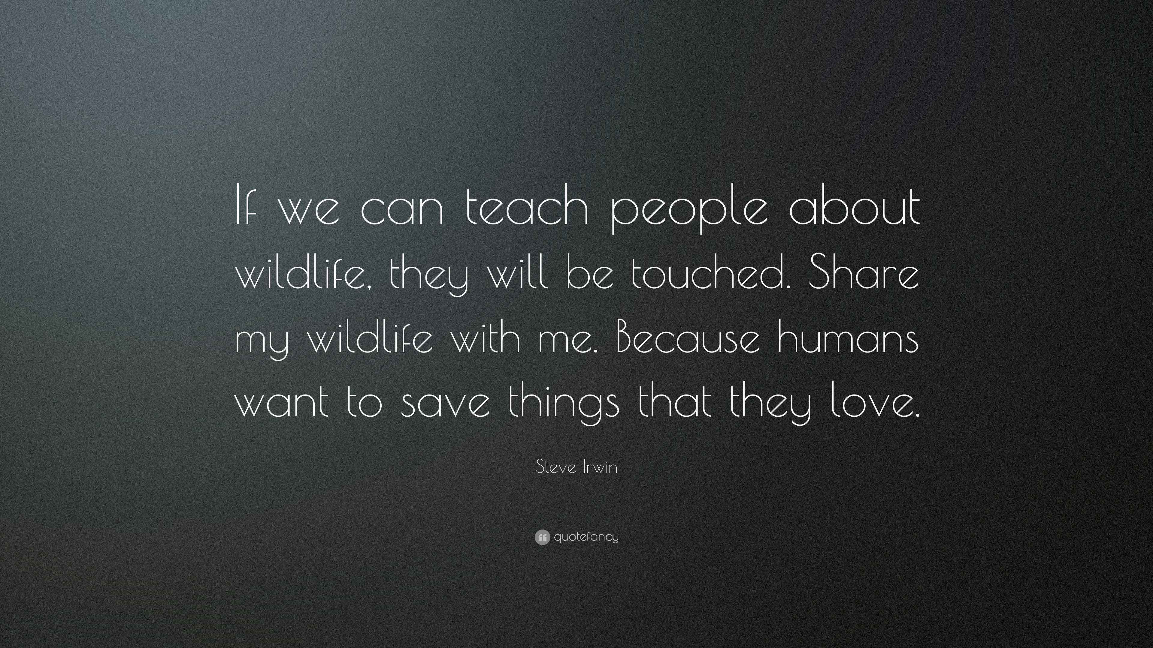 Steve Irwin Quote: “If we can teach people about wildlife, they will be ...
