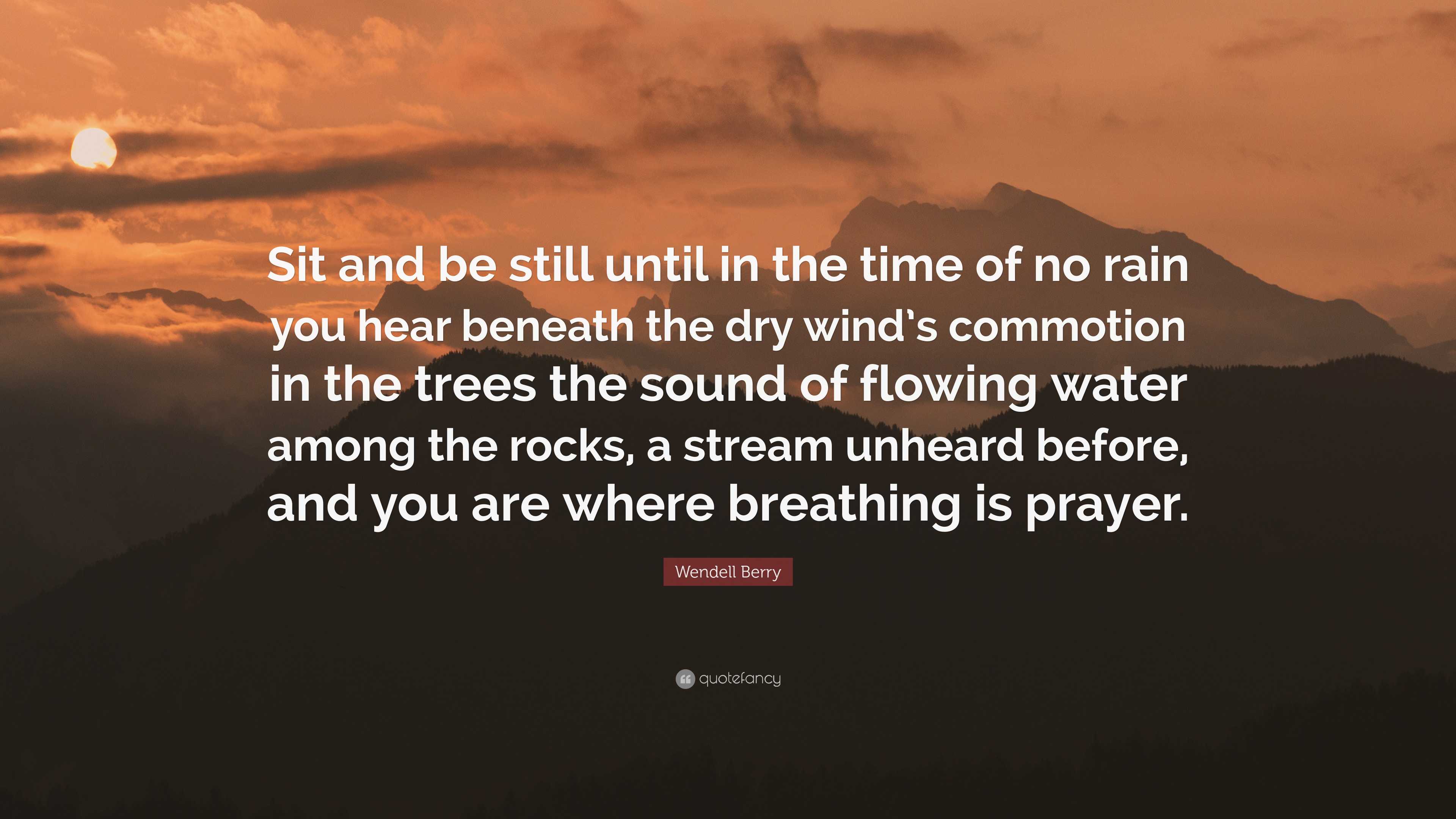 Wendell Berry Quote: “Sit and be still until in the time of no rain you ...