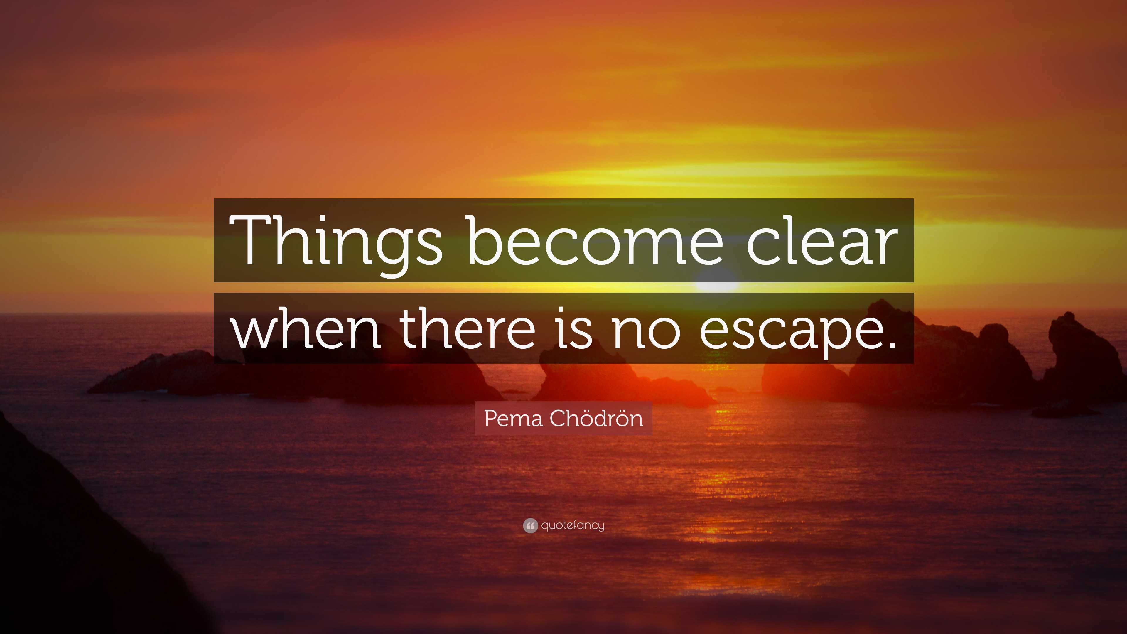 Pema Chödrön Quote: “Things become clear when there is no escape.”