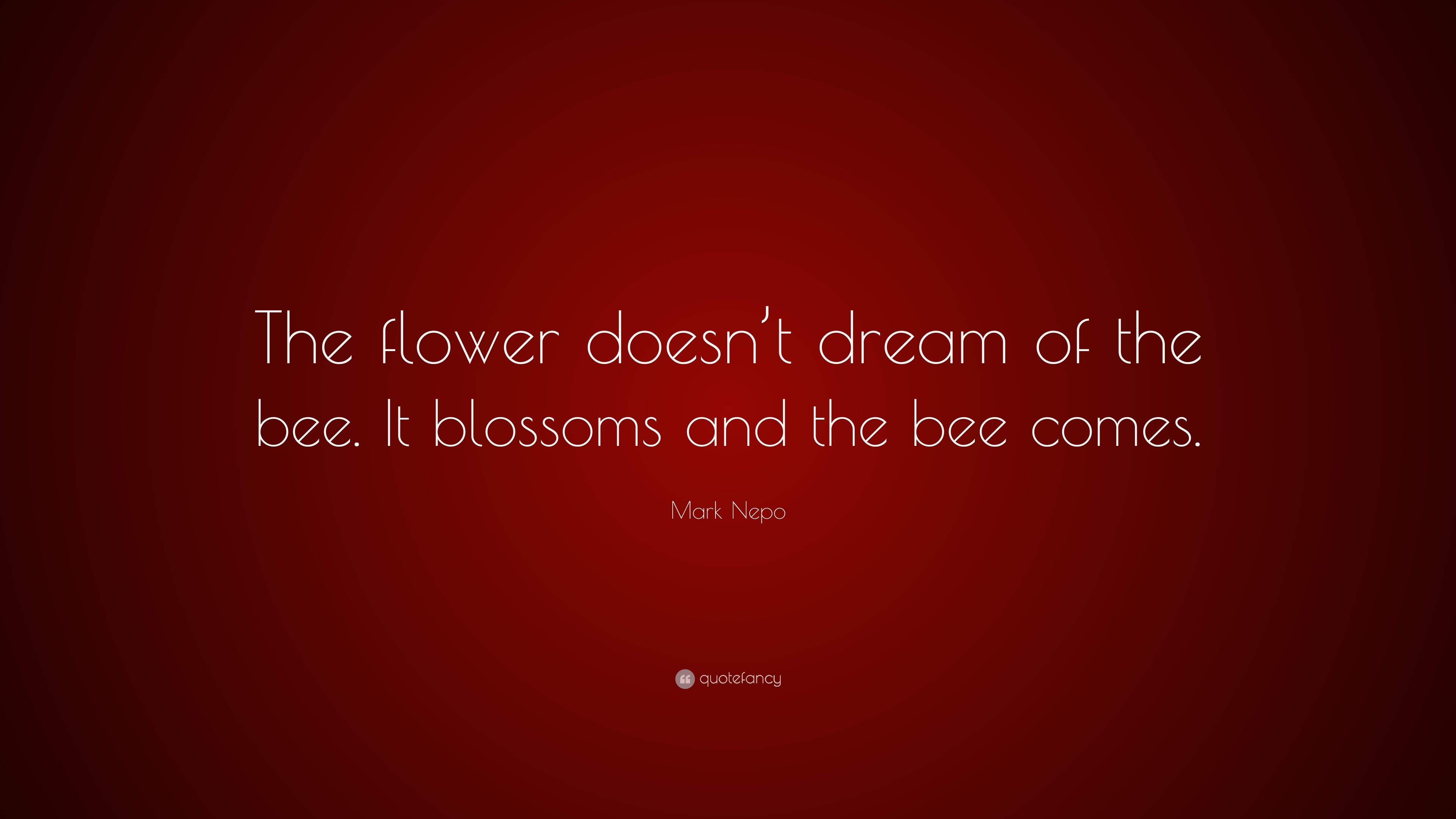 Mark Nepo Quote “The flower doesn’t dream of the bee. It blossoms and