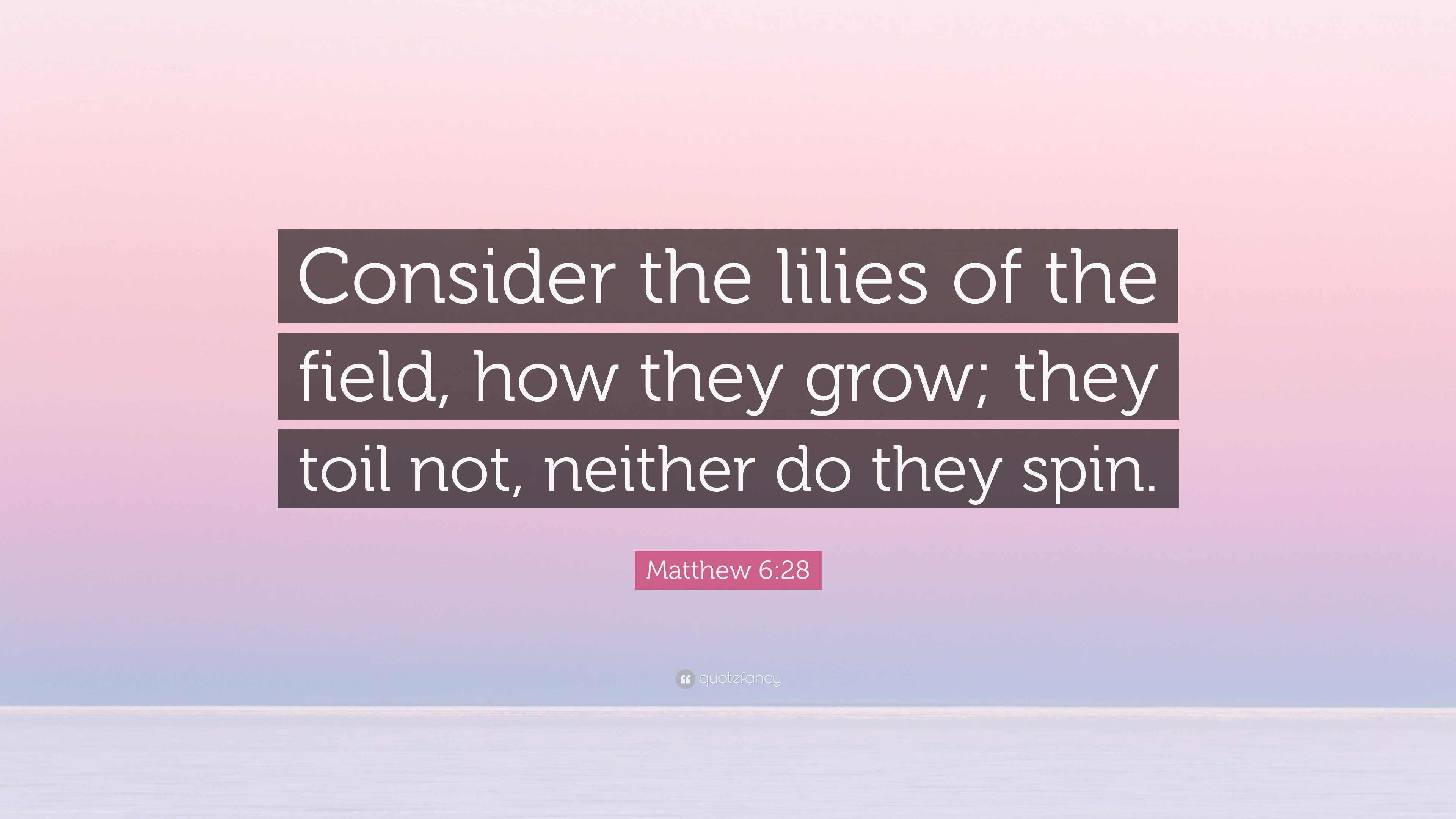 Matthew 628 Quote “Consider the lilies of the field, how they grow