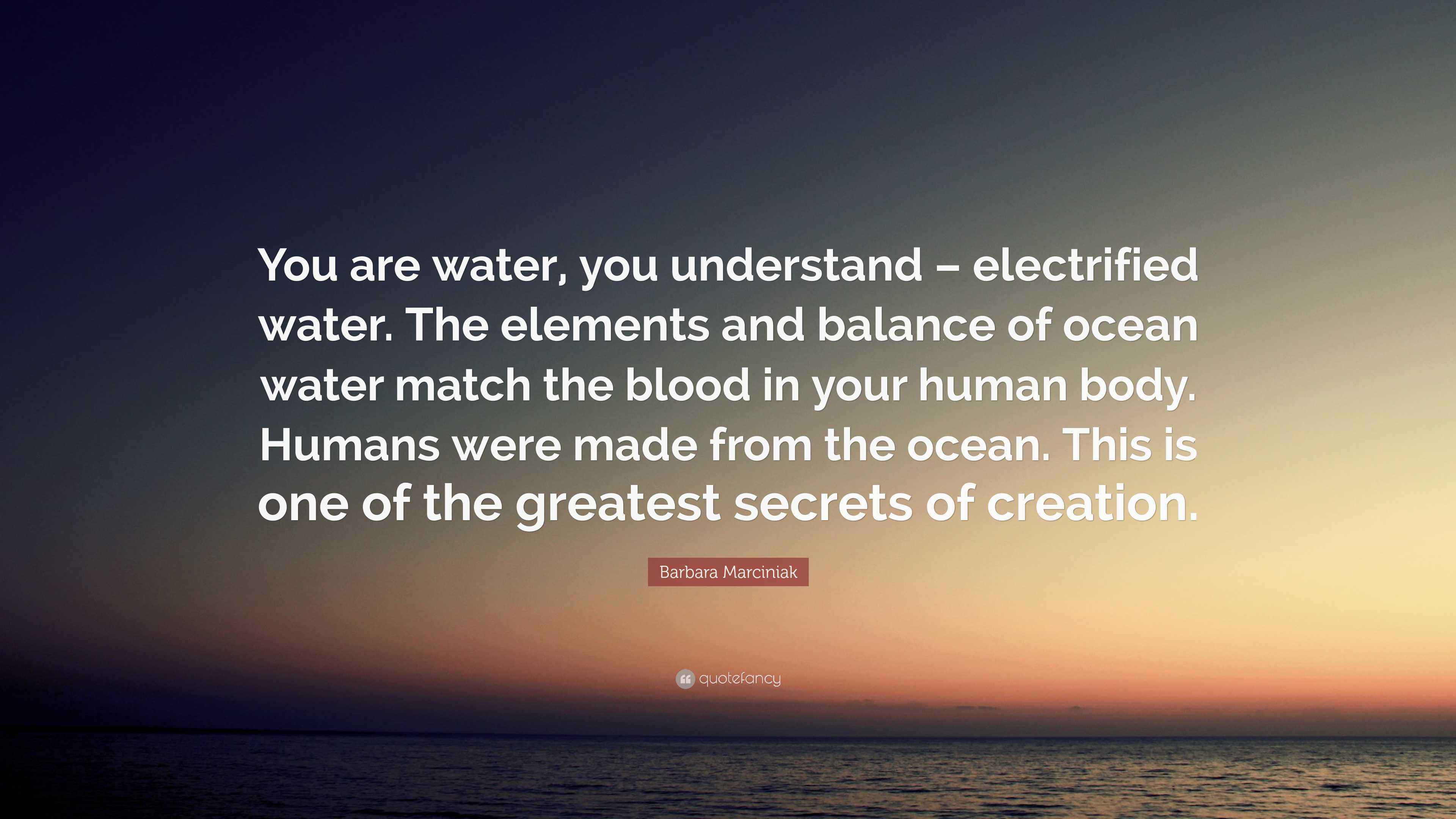 Barbara Marciniak Quote: “You are water, you understand – electrified ...