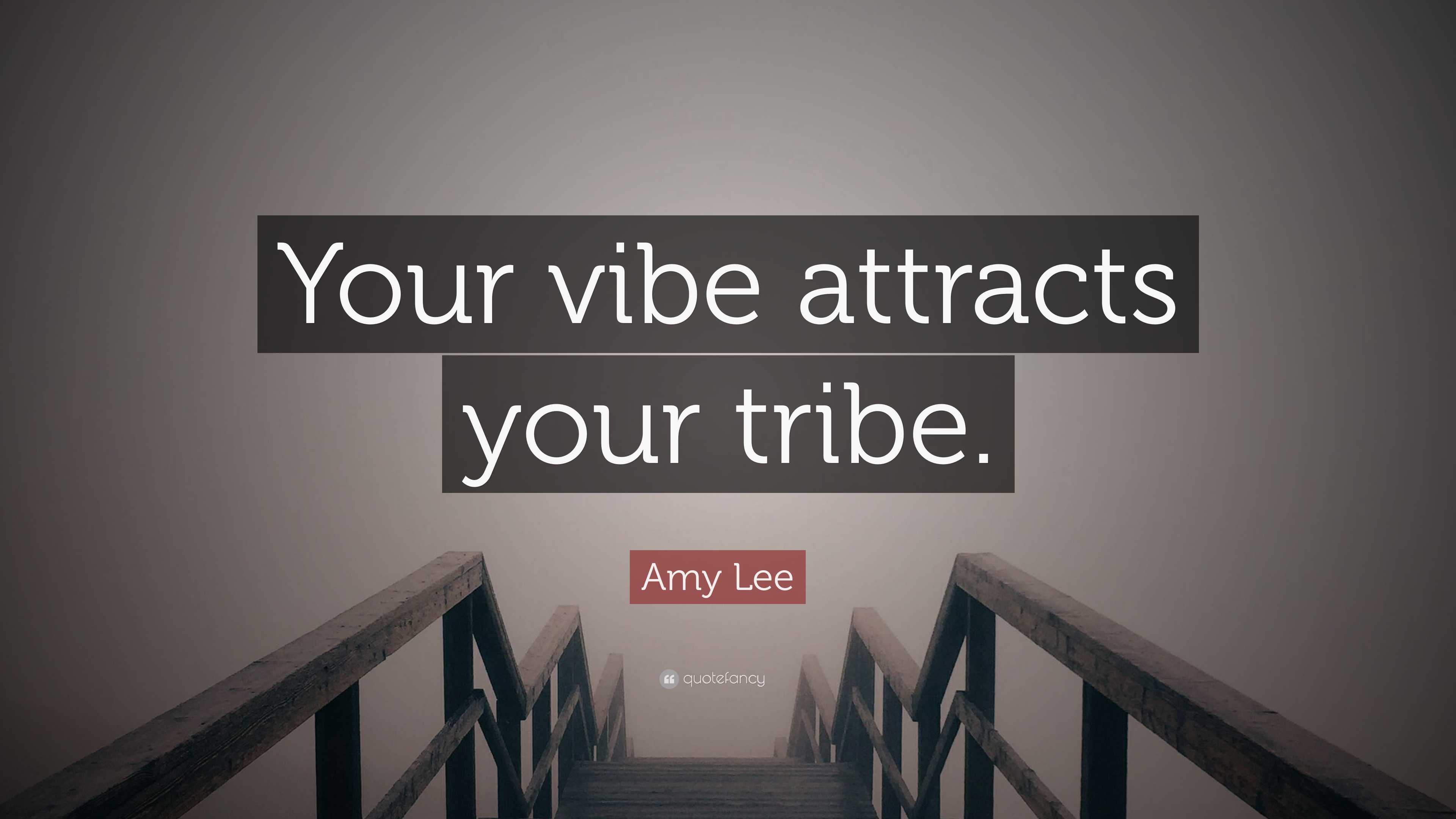 Amy Lee Quote: “Your vibe attracts your tribe.”