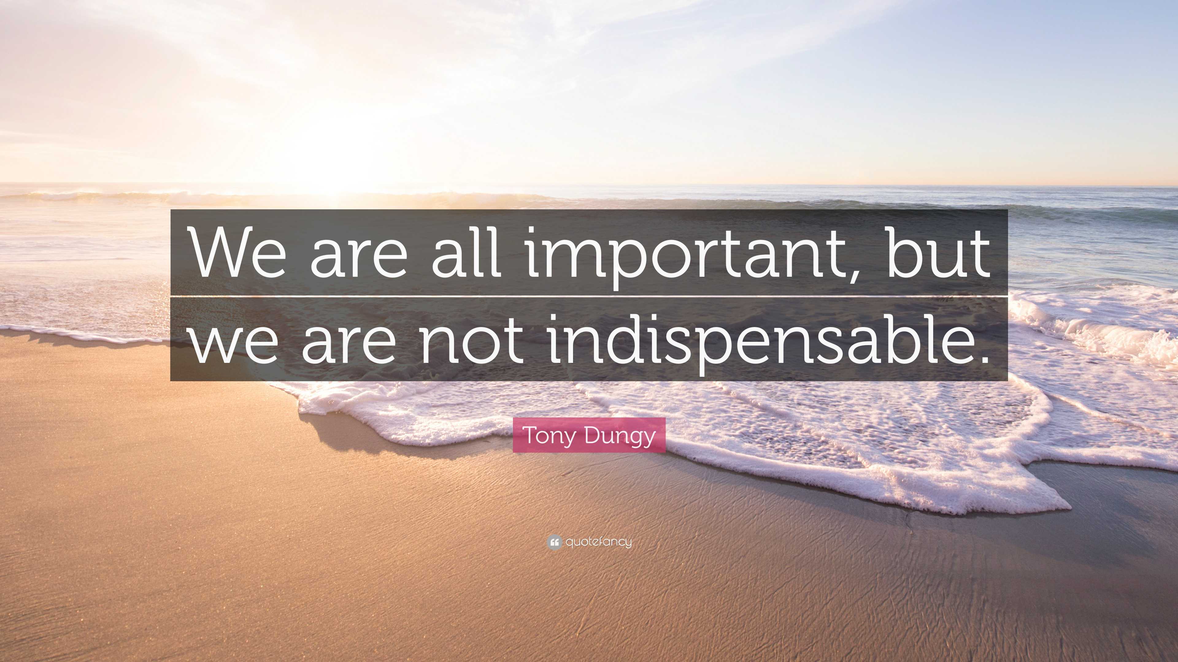 Tony Dungy Quote: “We are all important, but we are not indispensable.”