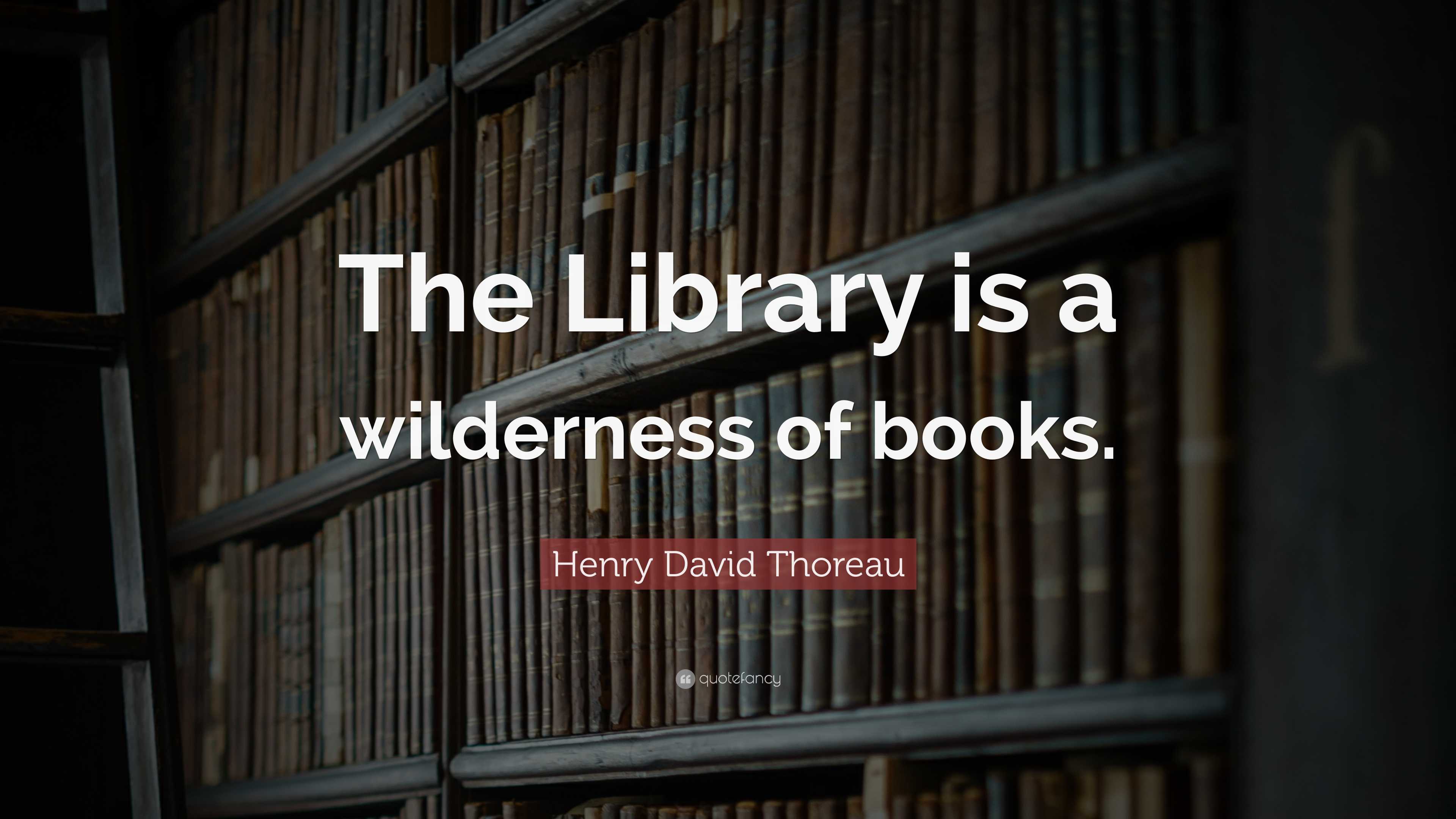 Henry David Thoreau Quote: “The Library is a wilderness of books.”