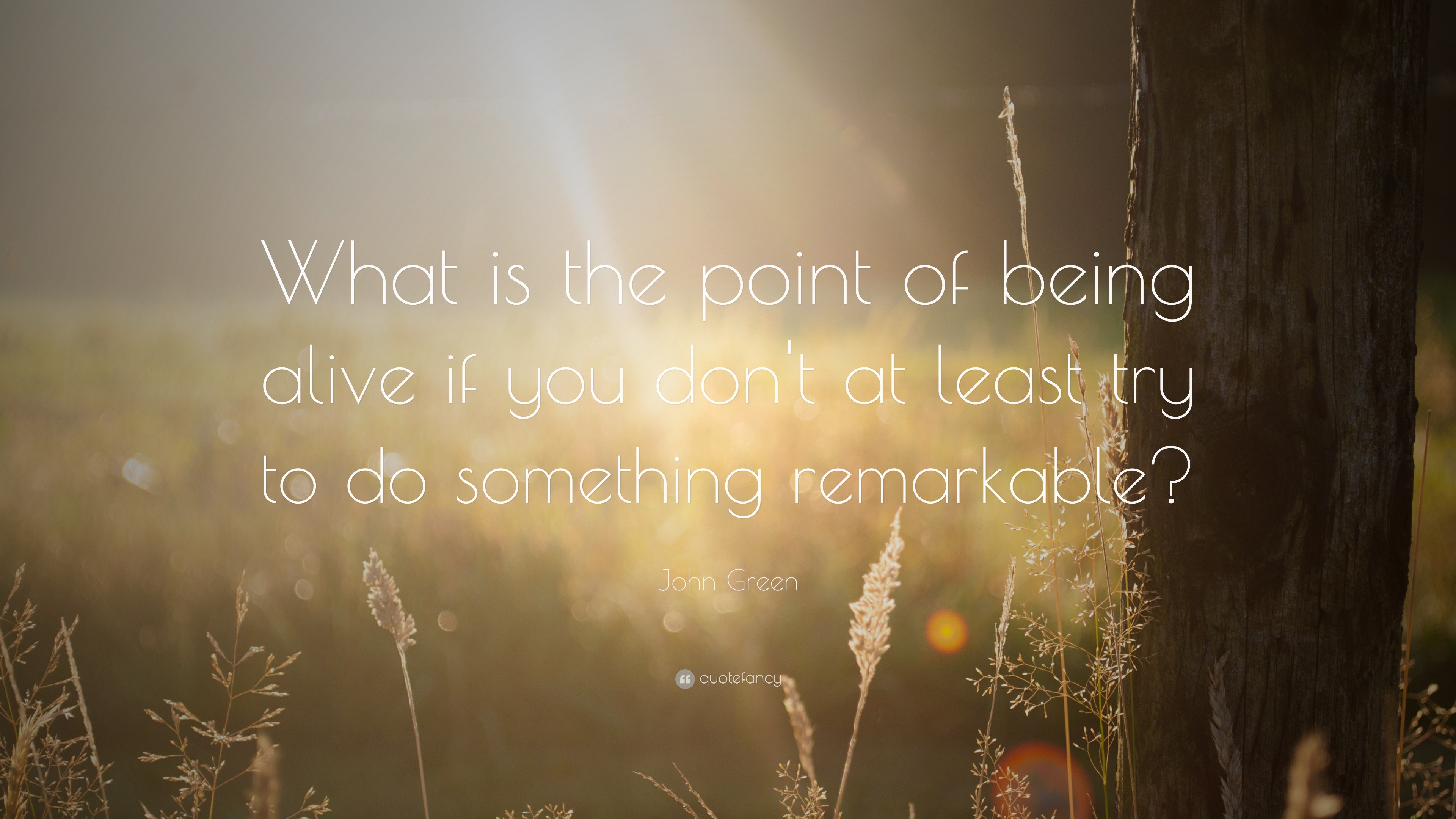 John Green Quote: “What is the point of being alive if you don’t at ...