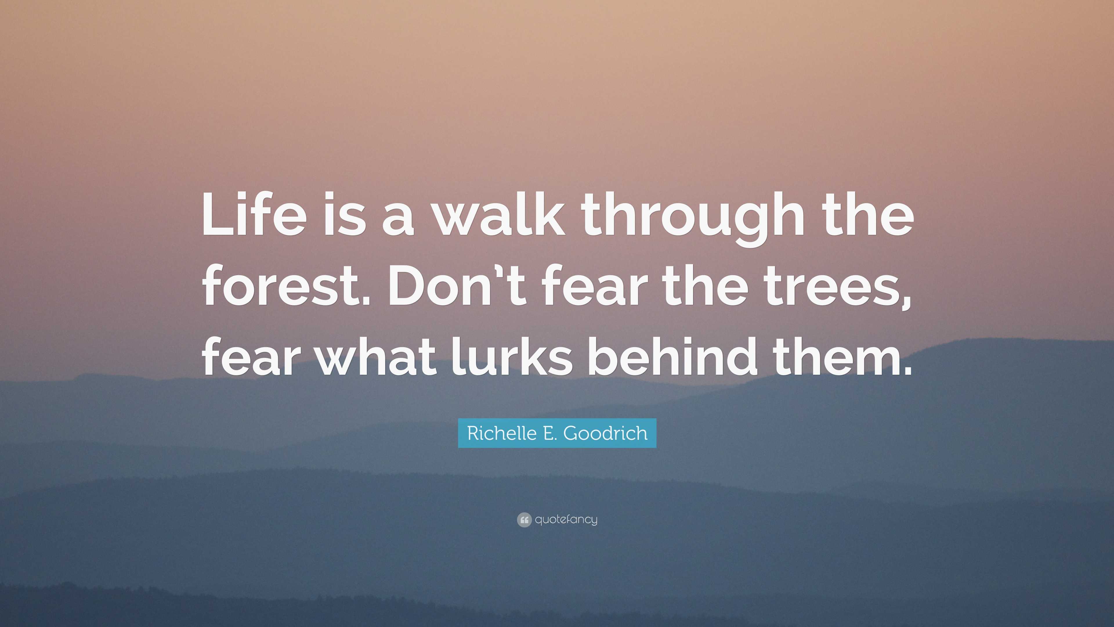 Richelle E. Goodrich Quote: “Life is a walk through the forest. Don’t ...