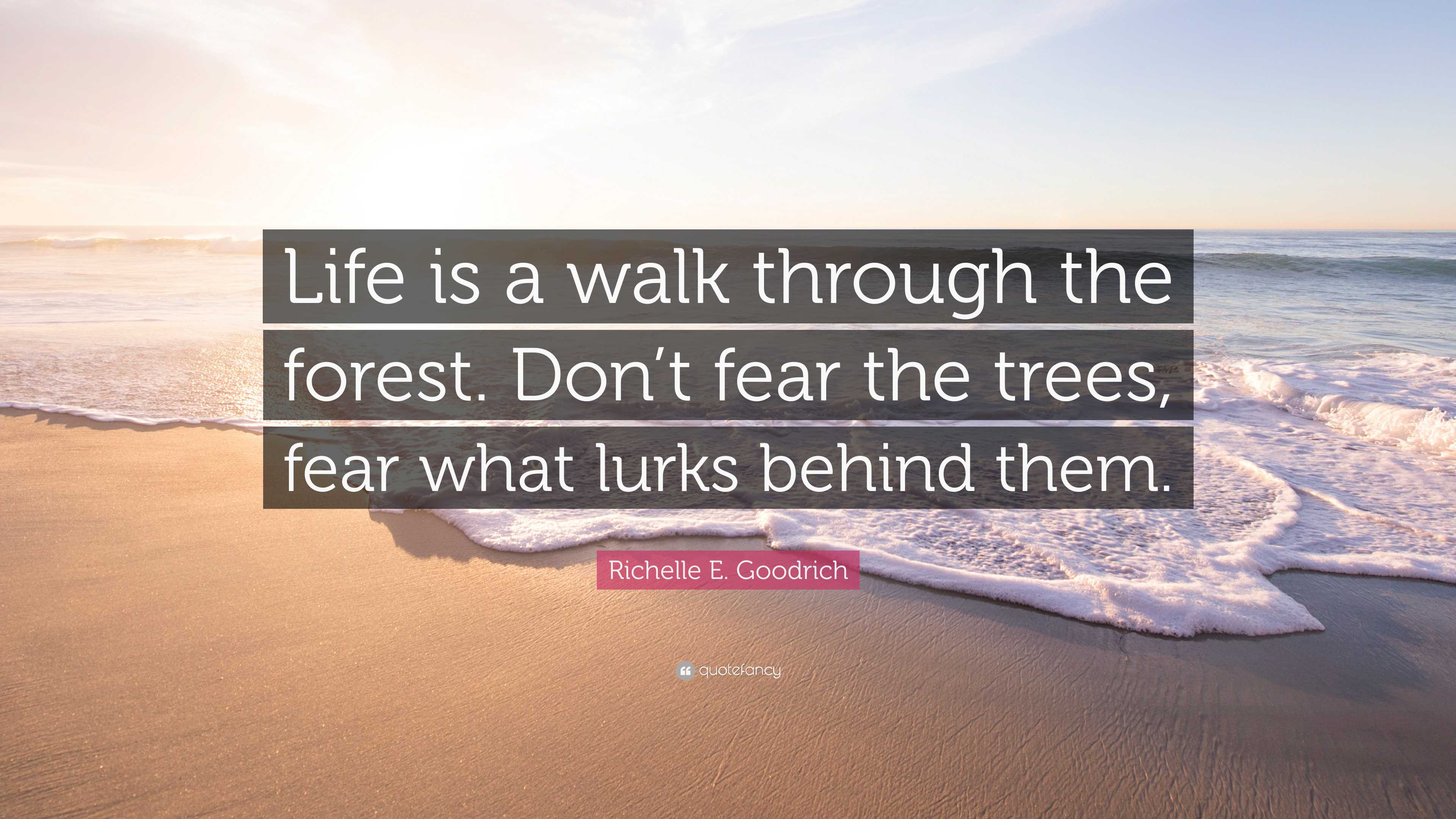 Richelle E. Goodrich Quote: “Life is a walk through the forest. Don’t ...