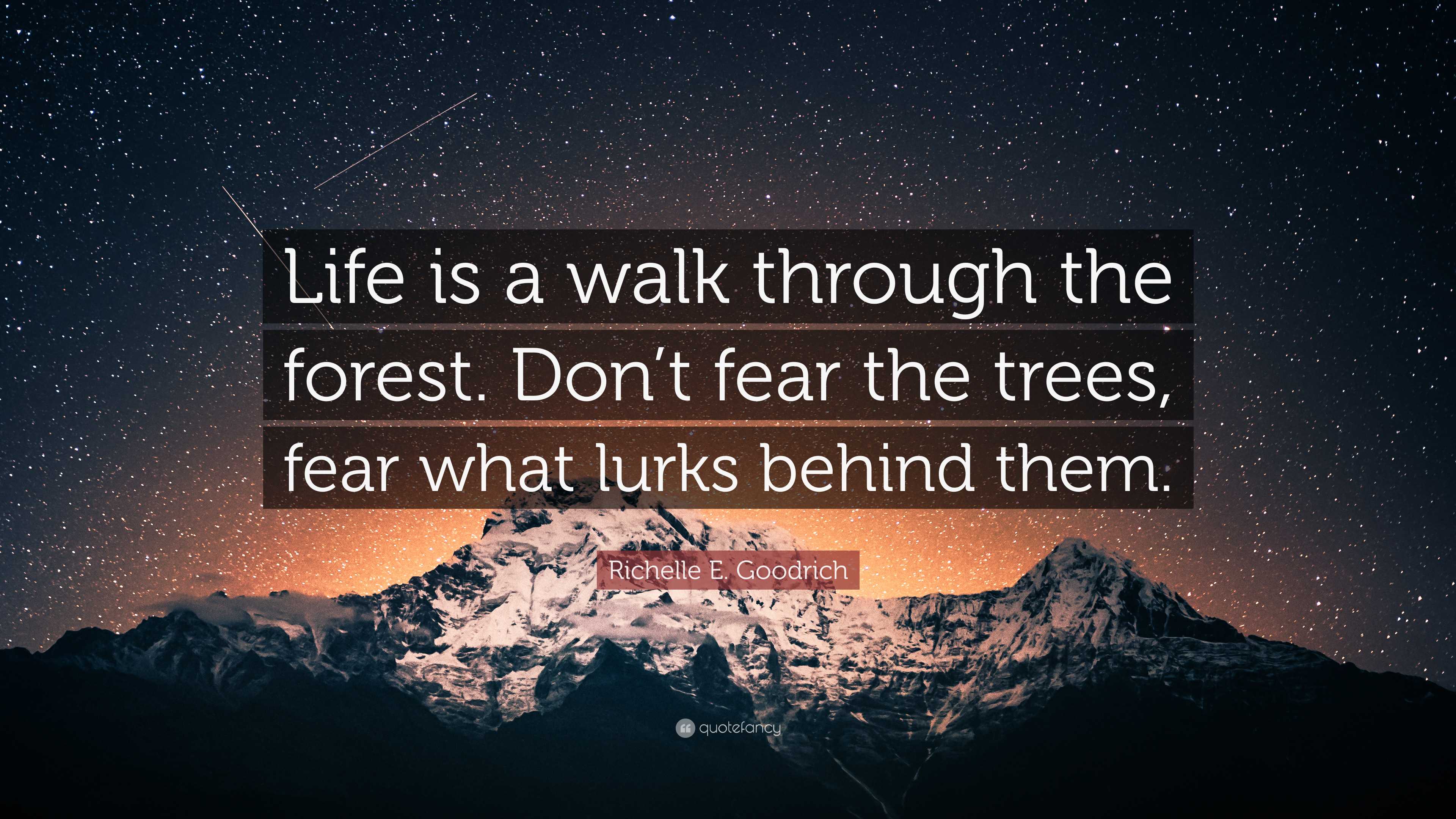 Richelle E. Goodrich Quote: “Life is a walk through the forest. Don’t ...