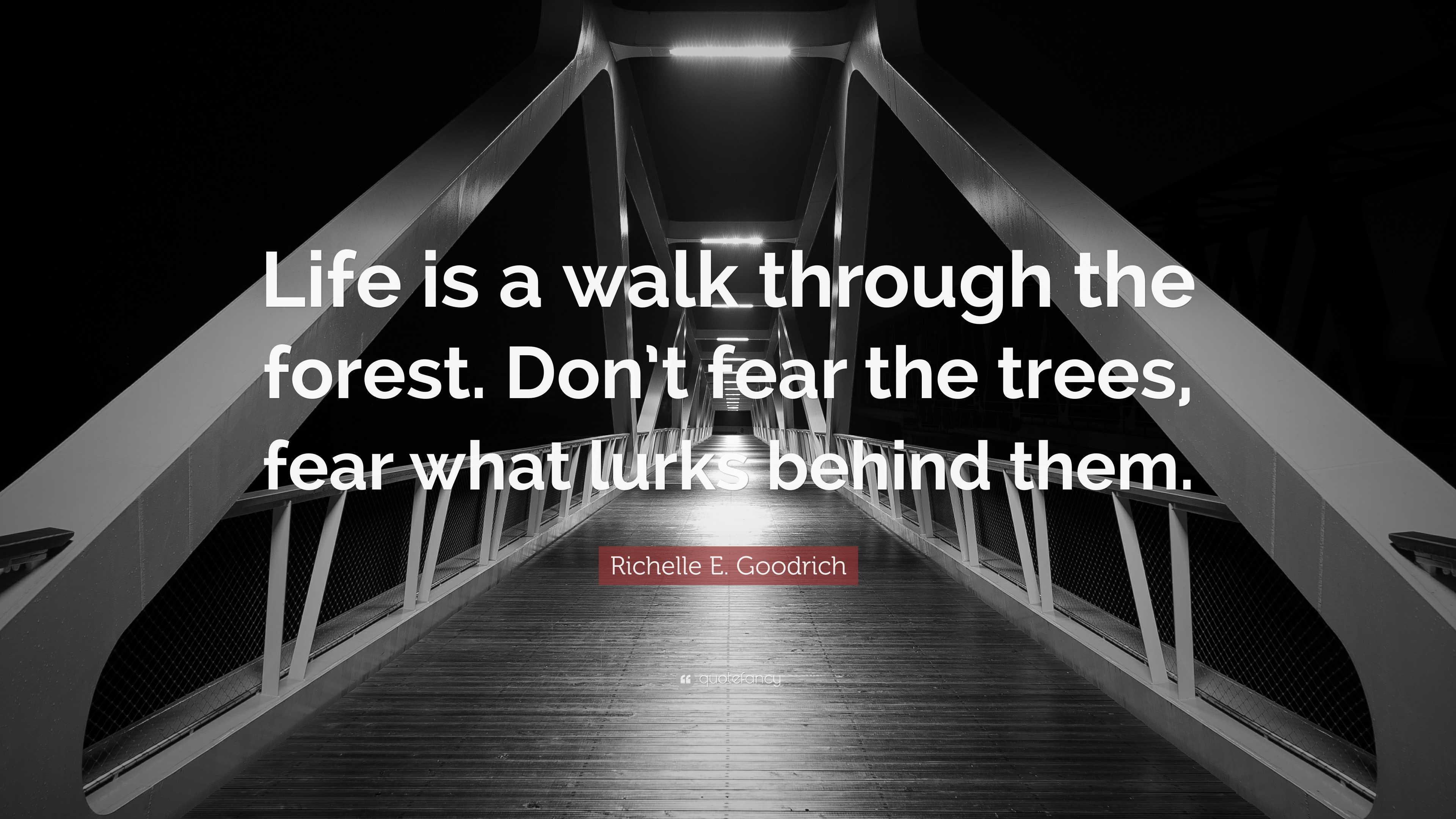 Richelle E. Goodrich Quote “Life is a walk through the forest. Don’t