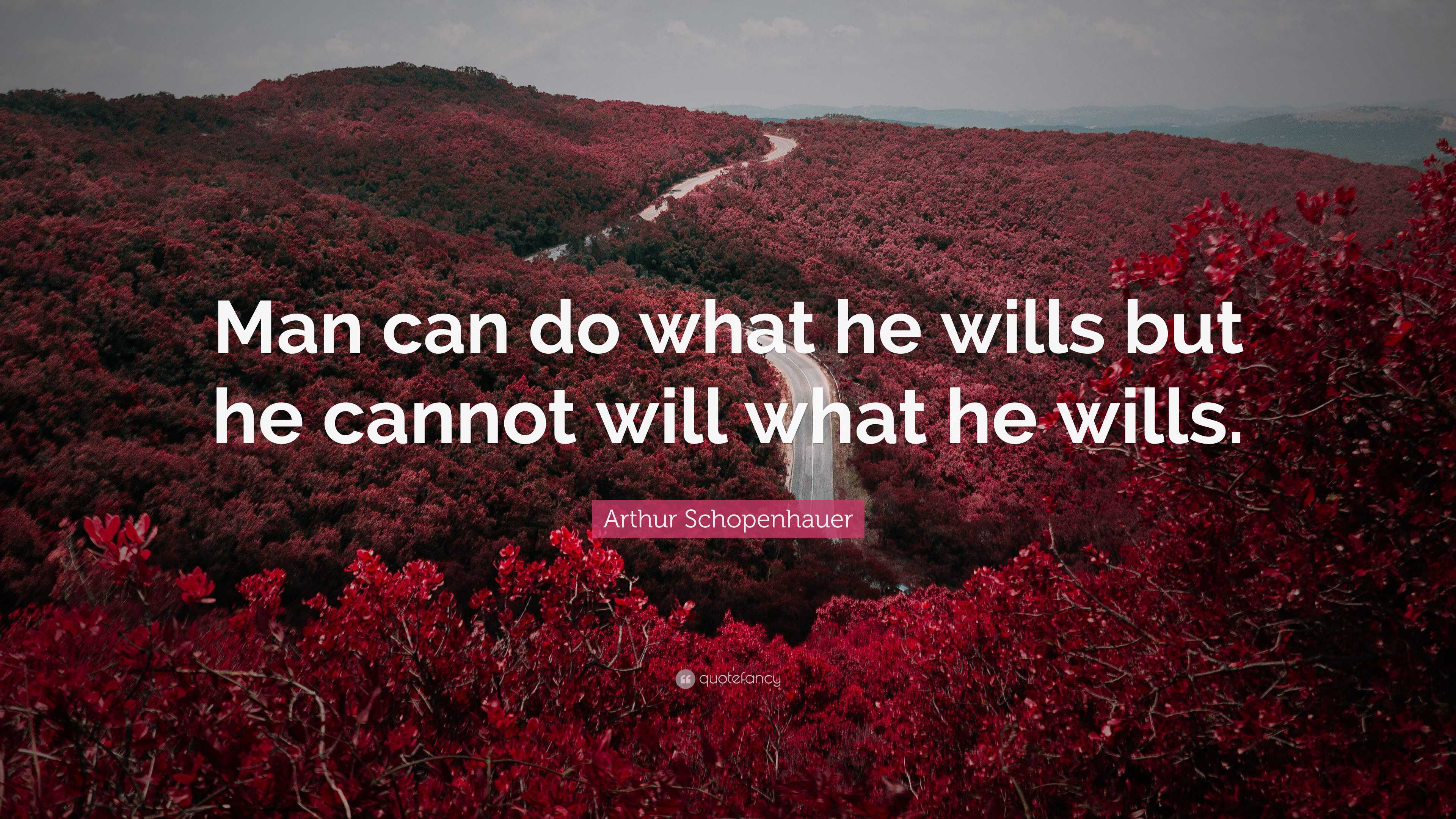 Arthur Schopenhauer Quote: “Man can do what he wills but he cannot will ...