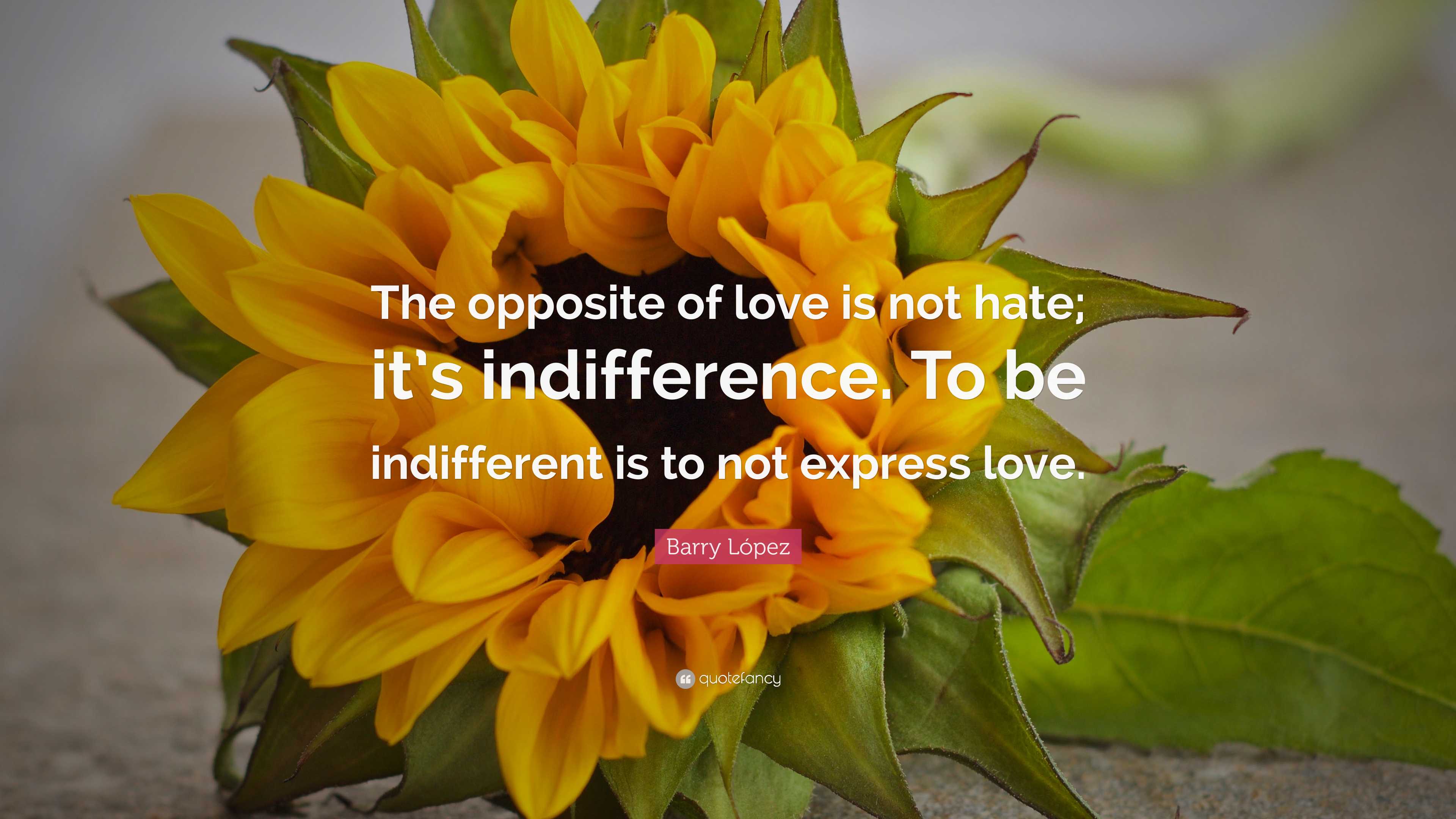 Barry López Quote: “The opposite of love is not hate; it’s indifference ...